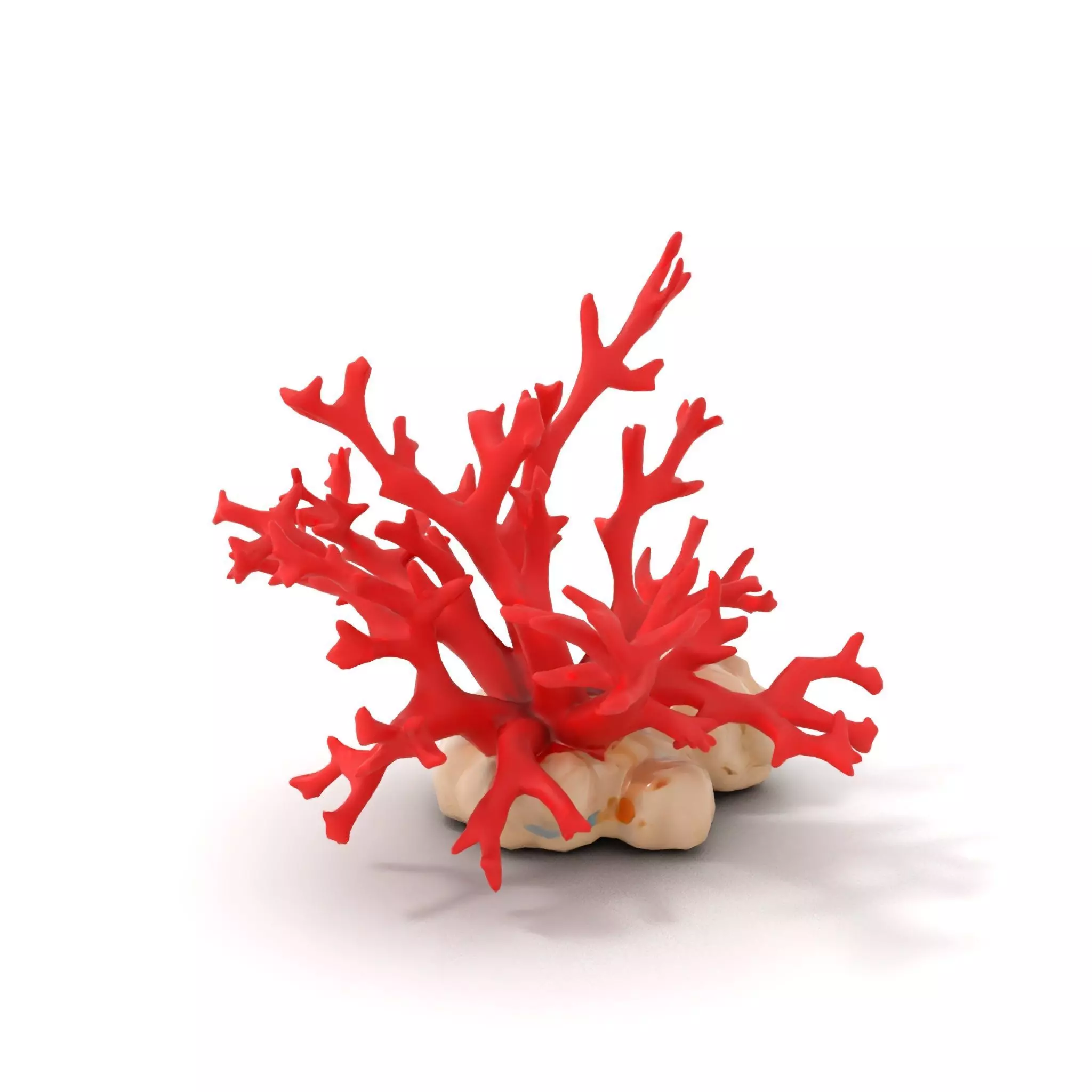 Vibrant Coral Reef model pack Low-poly 3D model_5