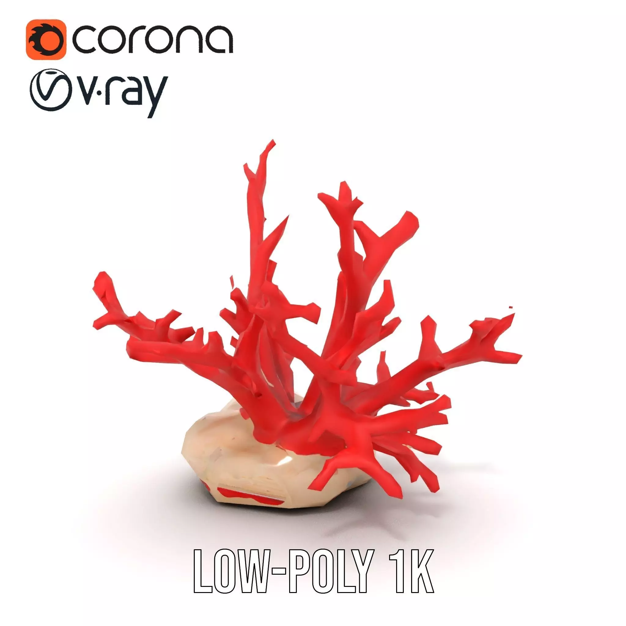 Vibrant Coral Reef model pack Low-poly 3D model_14