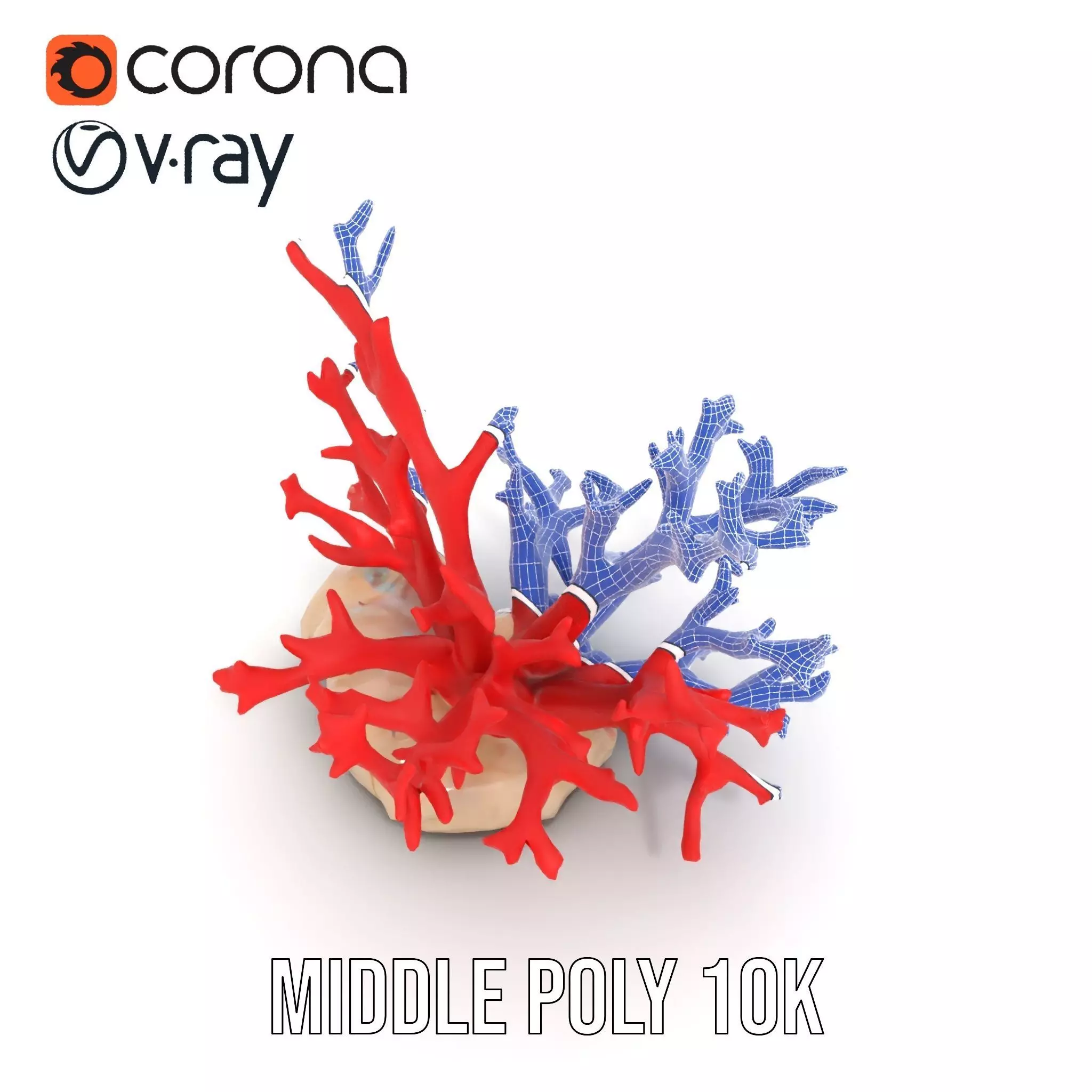 Vibrant Coral Reef model pack Low-poly 3D model_18