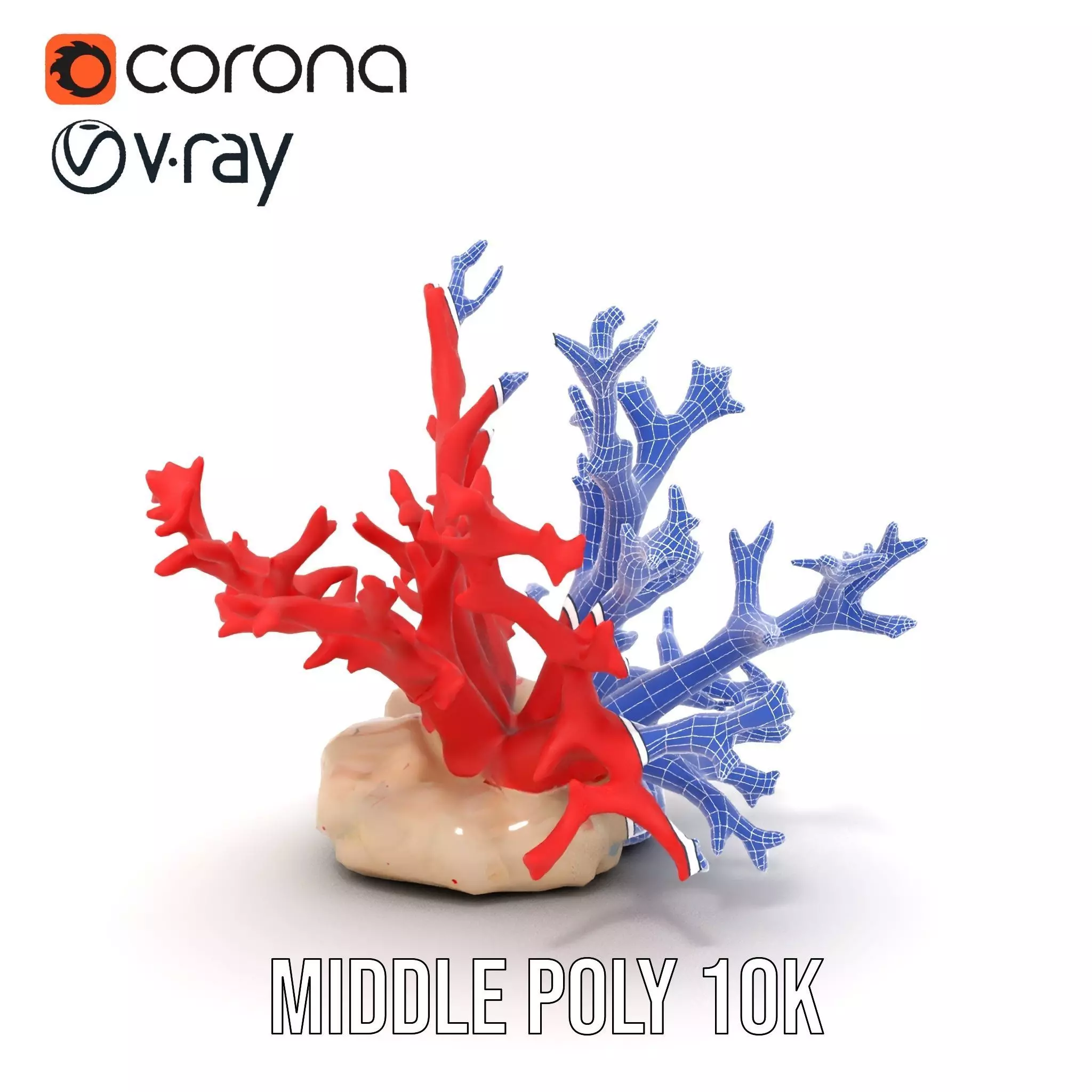 Vibrant Coral Reef model pack Low-poly 3D model_13