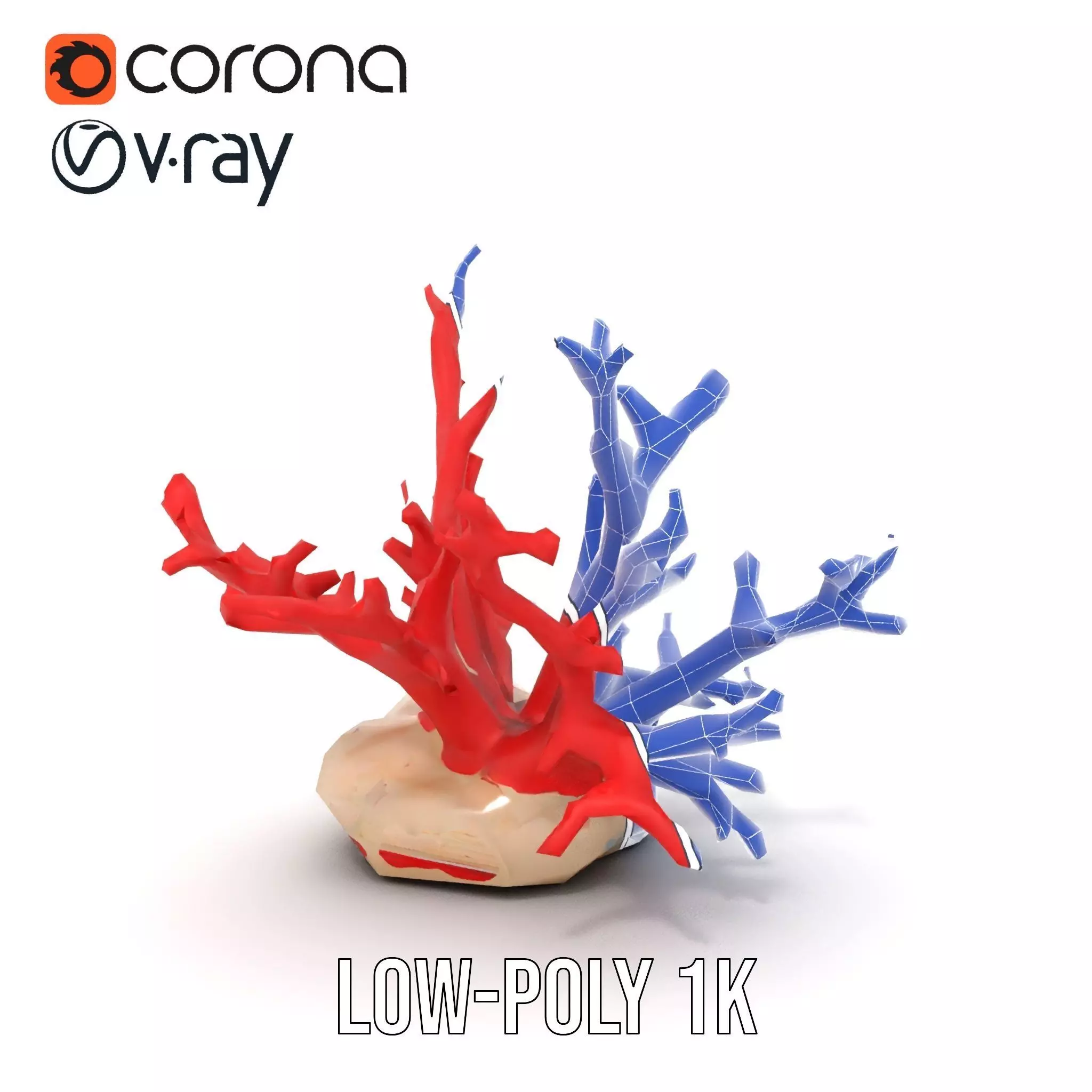 Vibrant Coral Reef model pack Low-poly 3D model_31