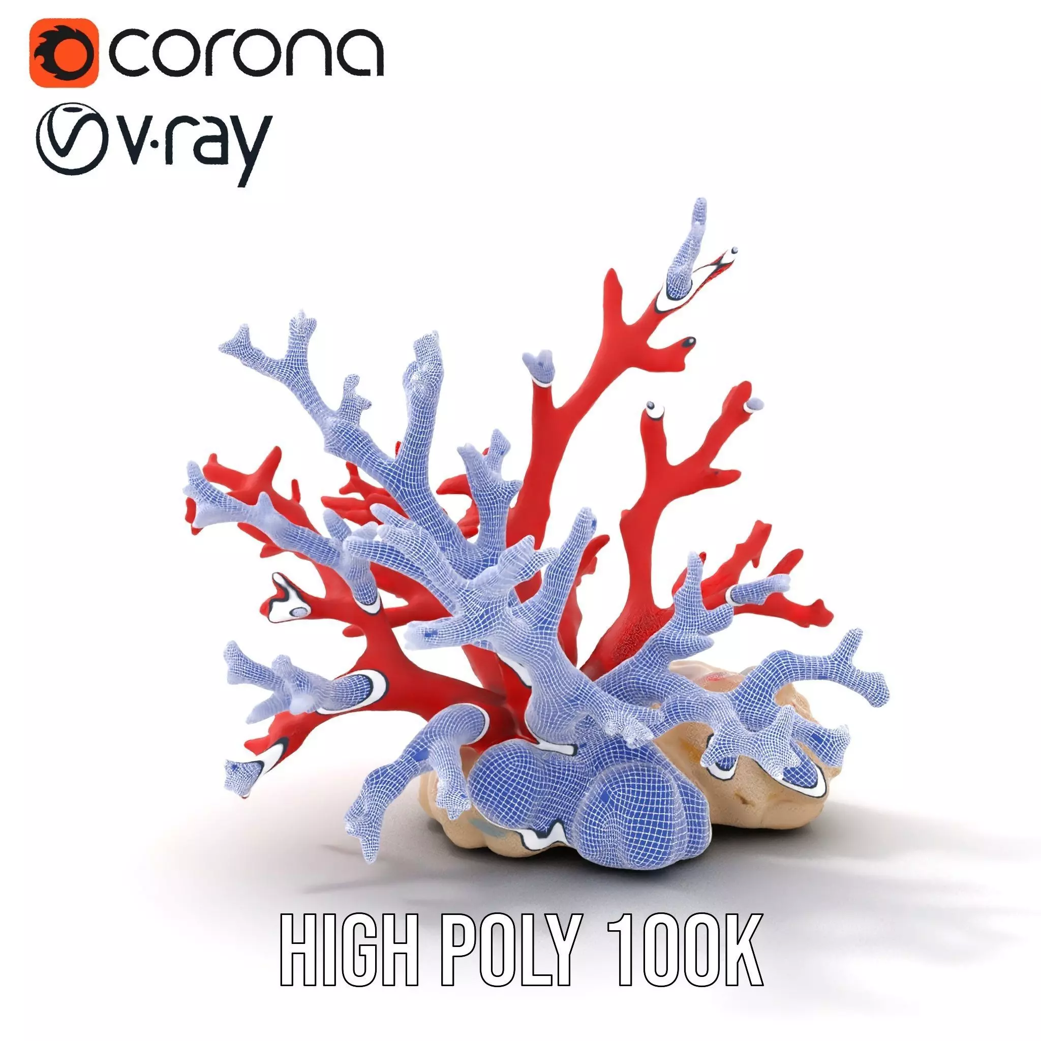 Vibrant Coral Reef model pack Low-poly 3D model_33