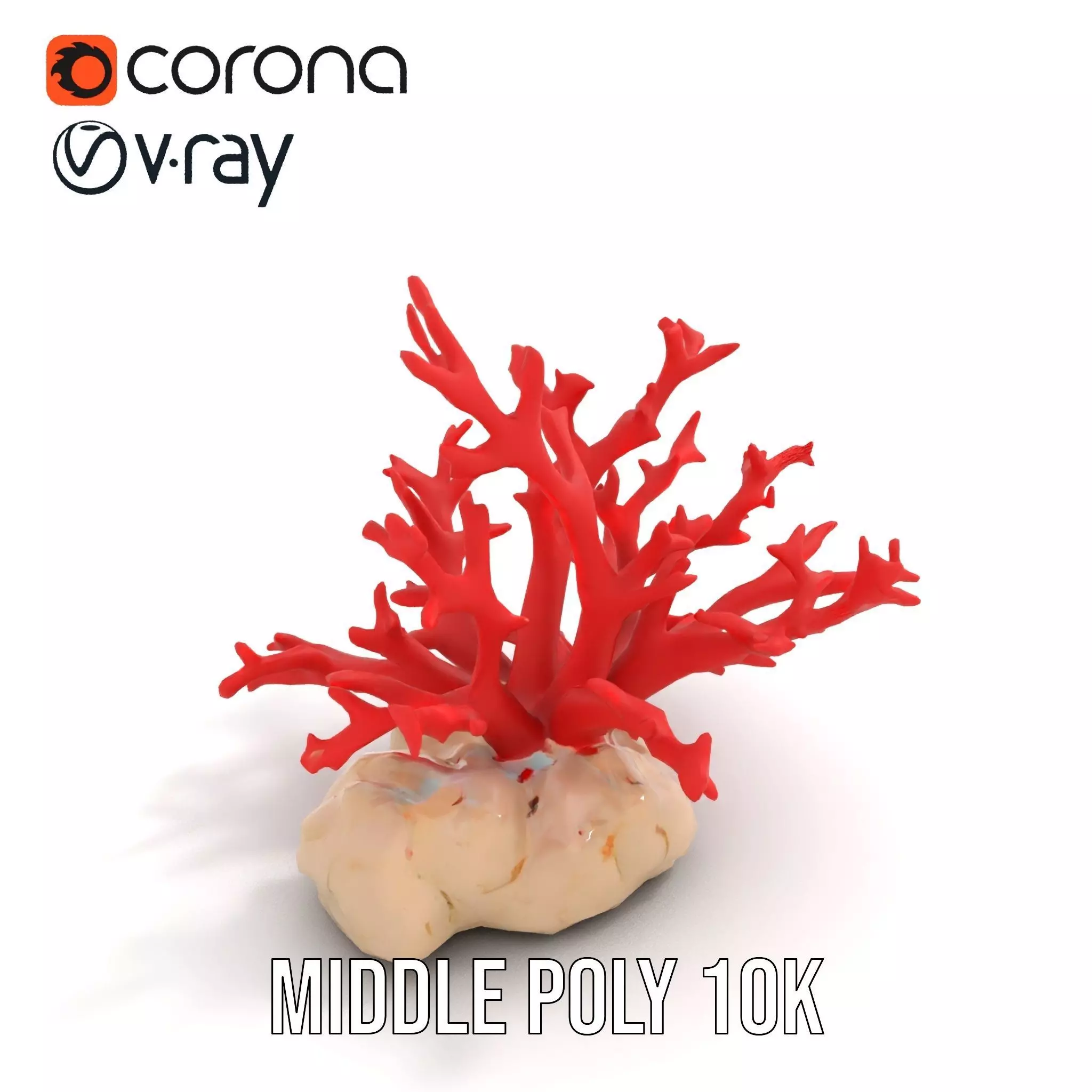 Vibrant Coral Reef model pack Low-poly 3D model_6