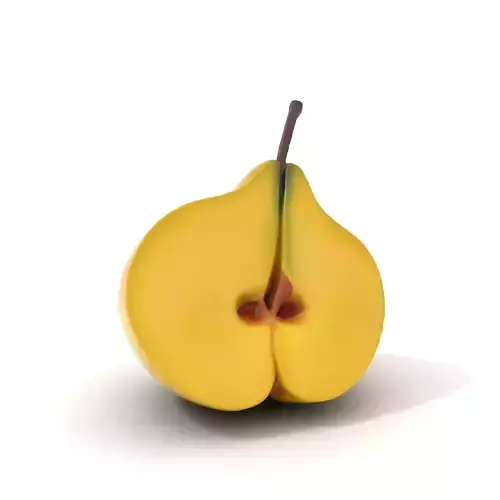 Golden Pear Slice model pack Low-poly 3D model