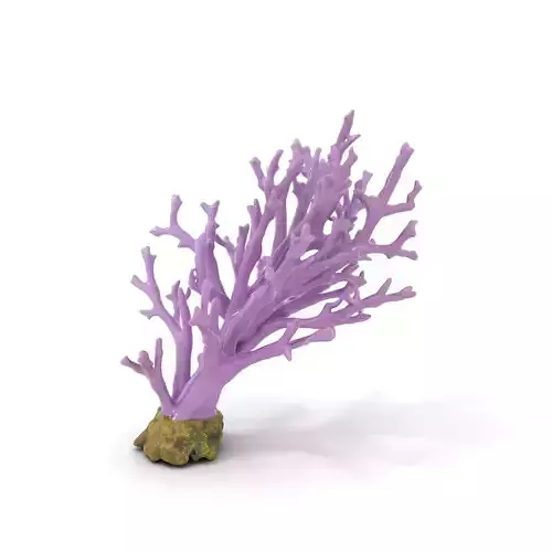 Vibrant Purple Coral model pack