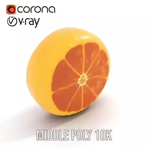 Fresh Orange Slice model pack Low-poly 3D model 5