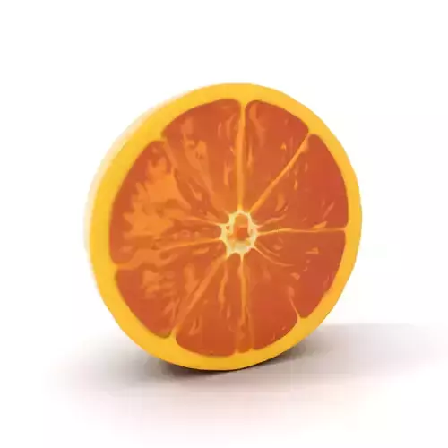 Fresh Orange Slice model pack Low-poly 3D model 6