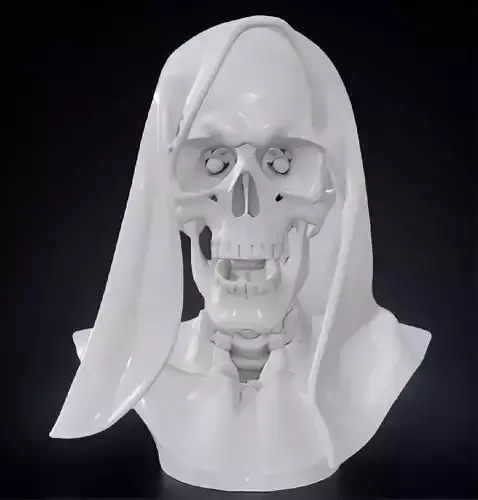 Veiled Bride Skull Bust 3D Model -STL Printable Gothic Sculpture