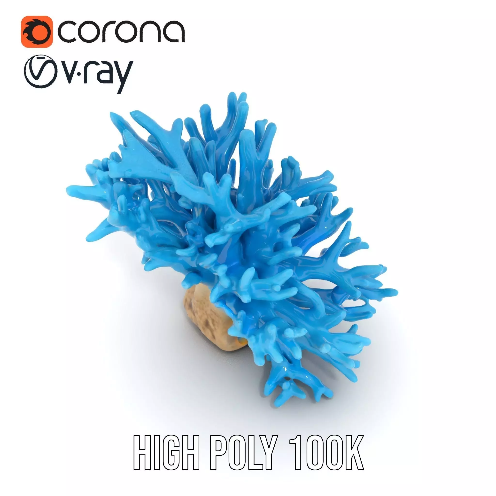 Vibrant Coral Reef model pack Low-poly 3D model_17