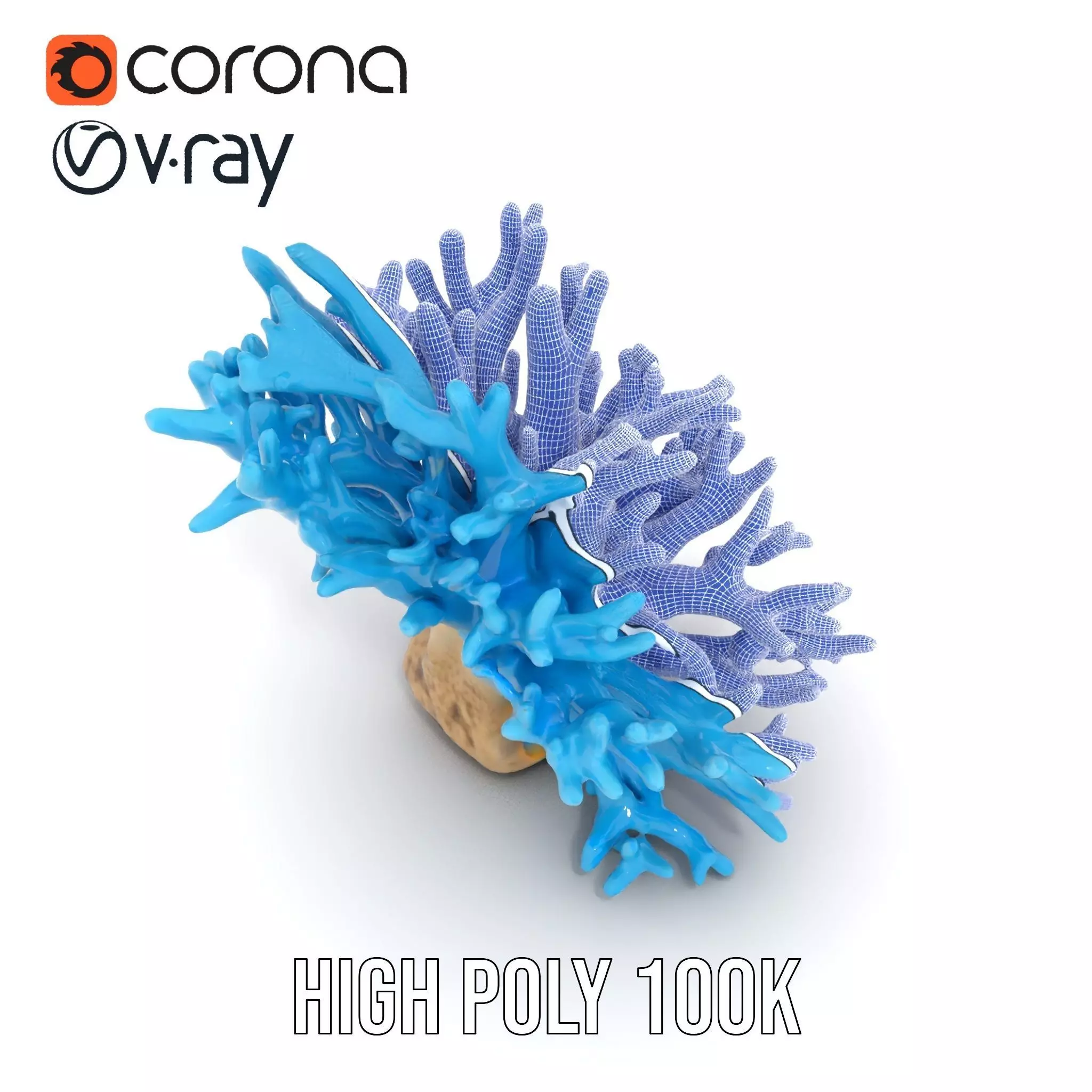 Vibrant Coral Reef model pack Low-poly 3D model_33