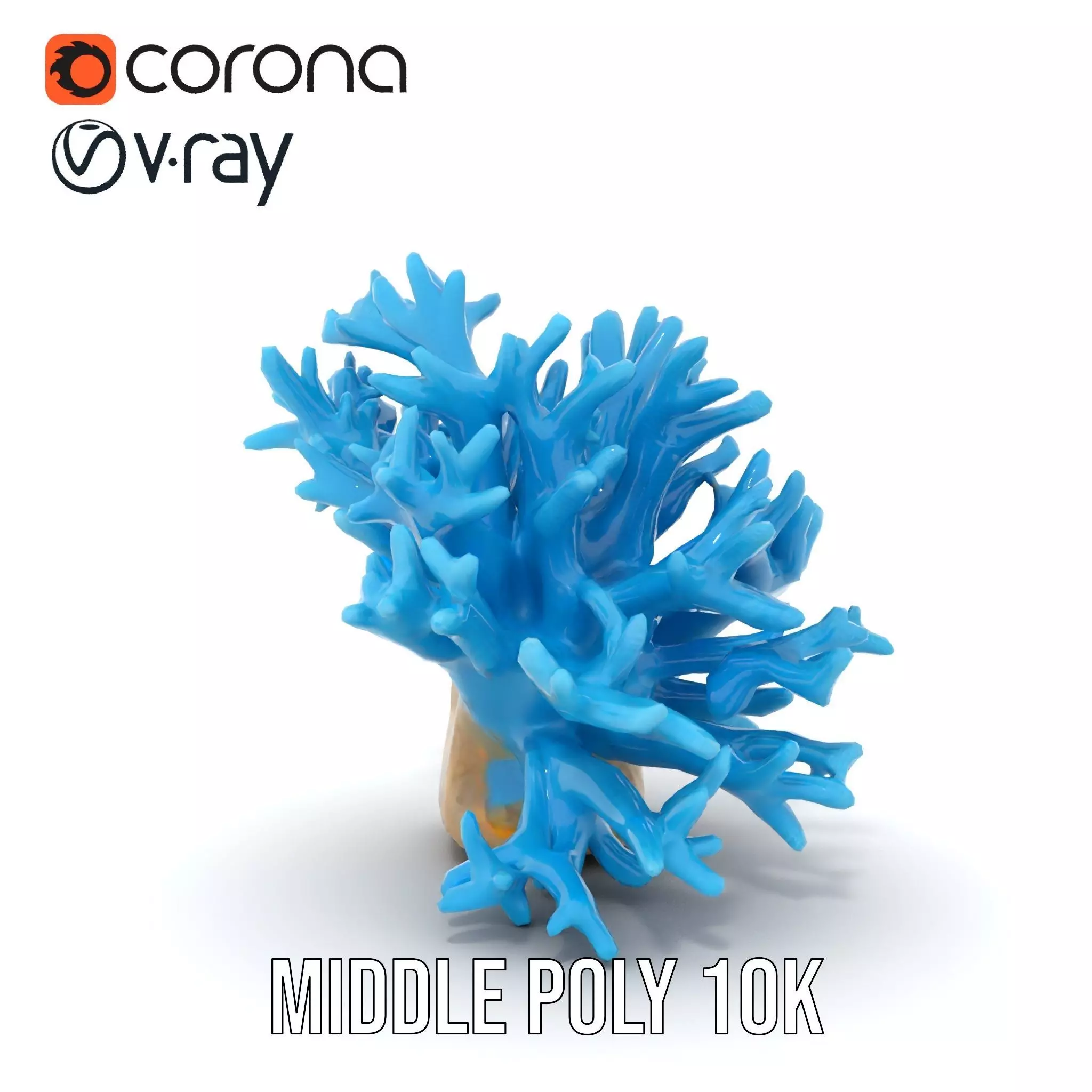 Vibrant Coral Reef model pack Low-poly 3D model_29