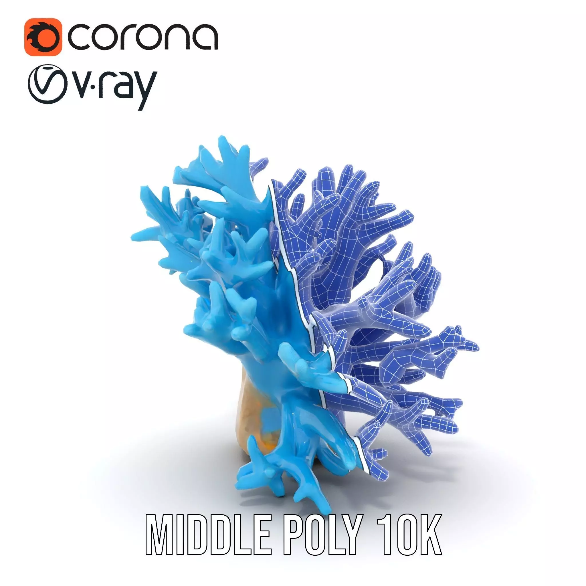 Vibrant Coral Reef model pack Low-poly 3D model_15