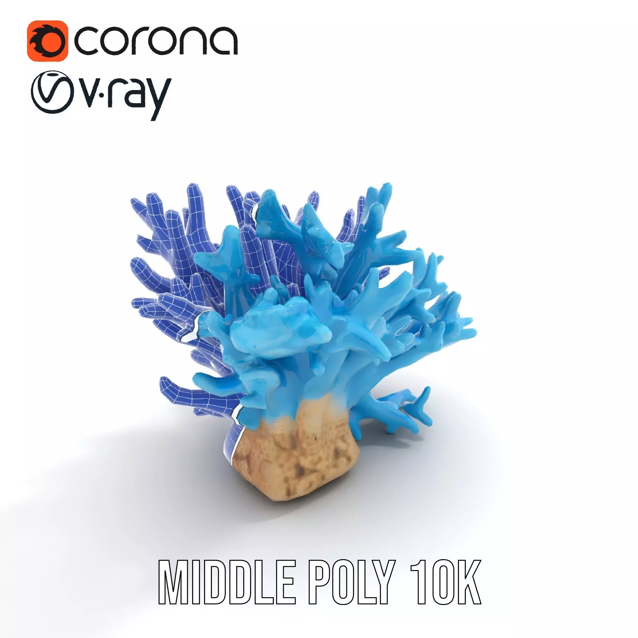 Vibrant Coral Reef model pack Low-poly 3D model_13