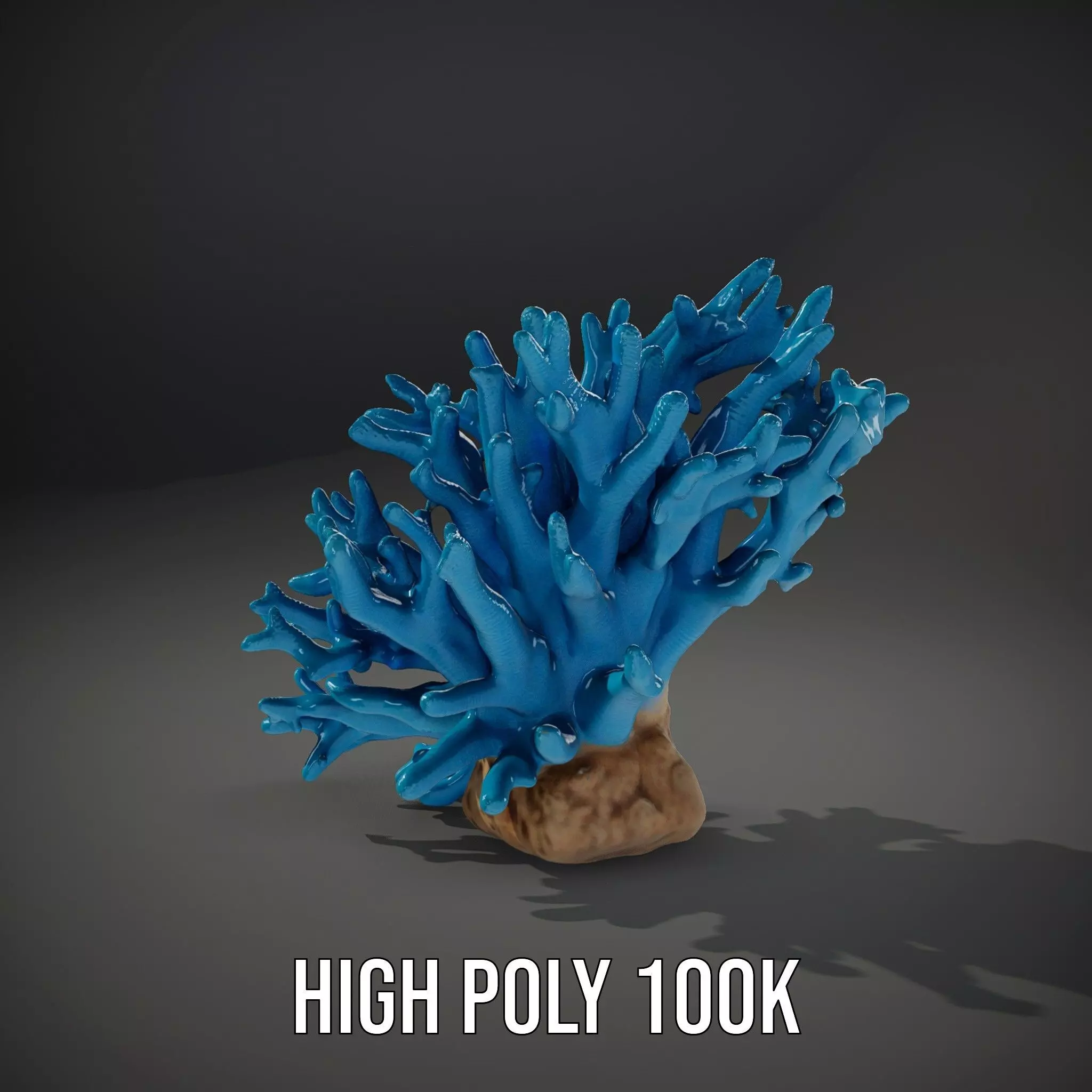 Vibrant Coral Reef model pack Low-poly 3D model_10