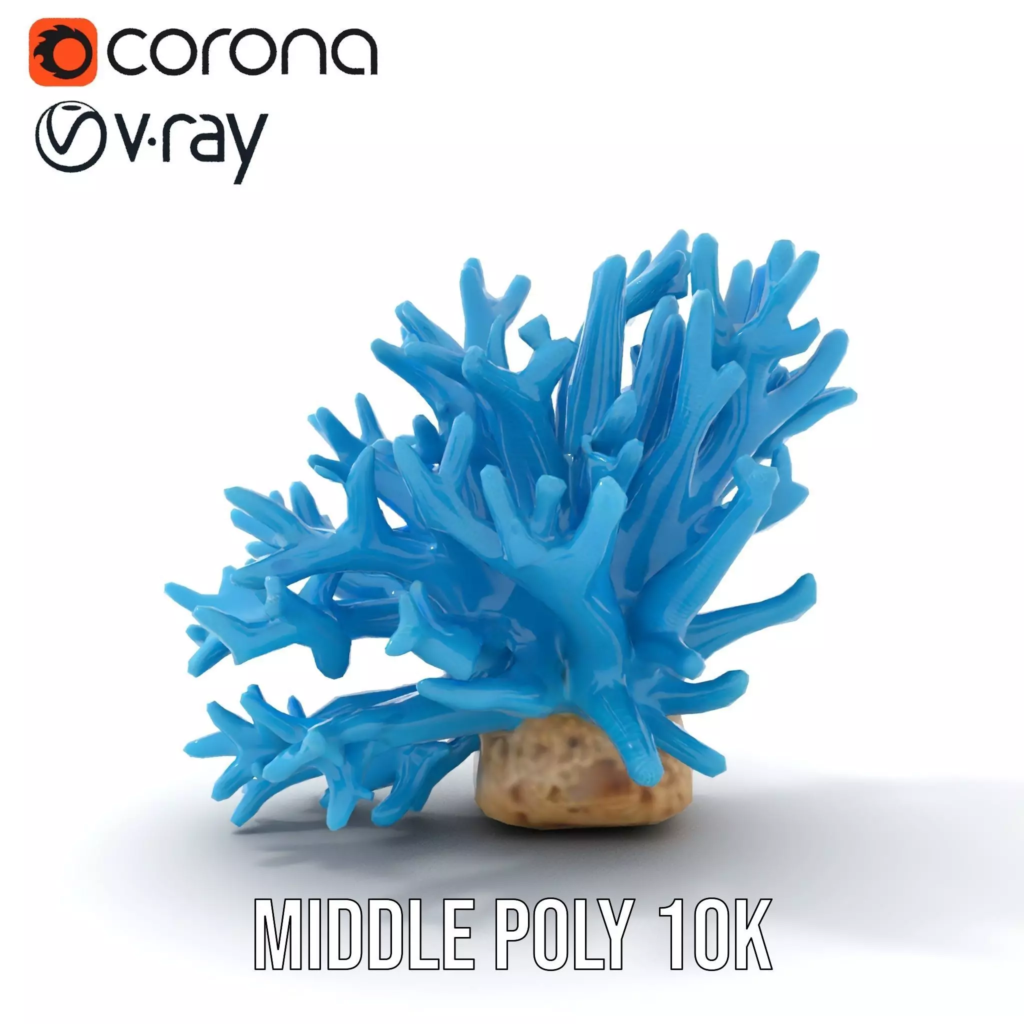 Vibrant Coral Reef model pack Low-poly 3D model_20