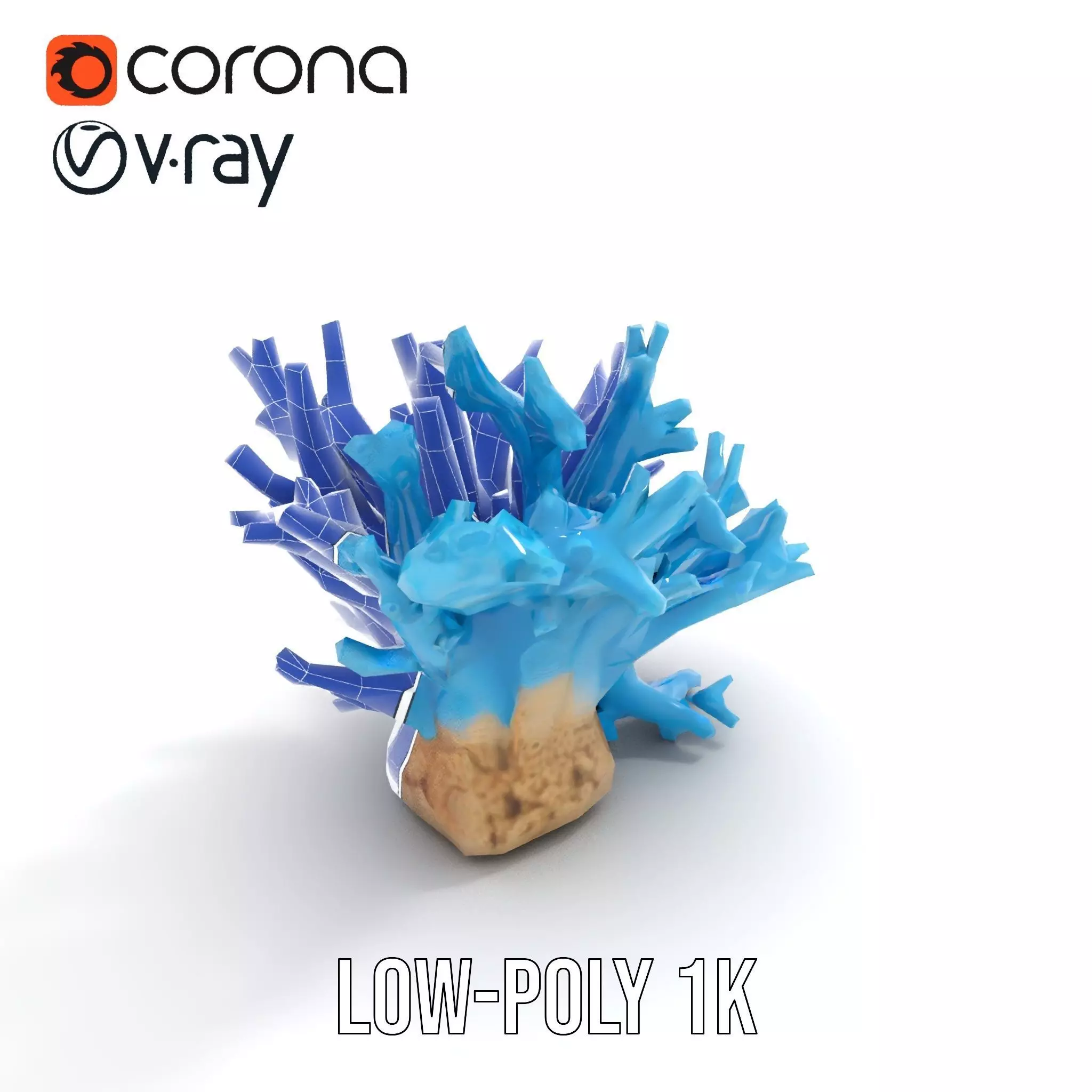 Vibrant Coral Reef model pack Low-poly 3D model_7