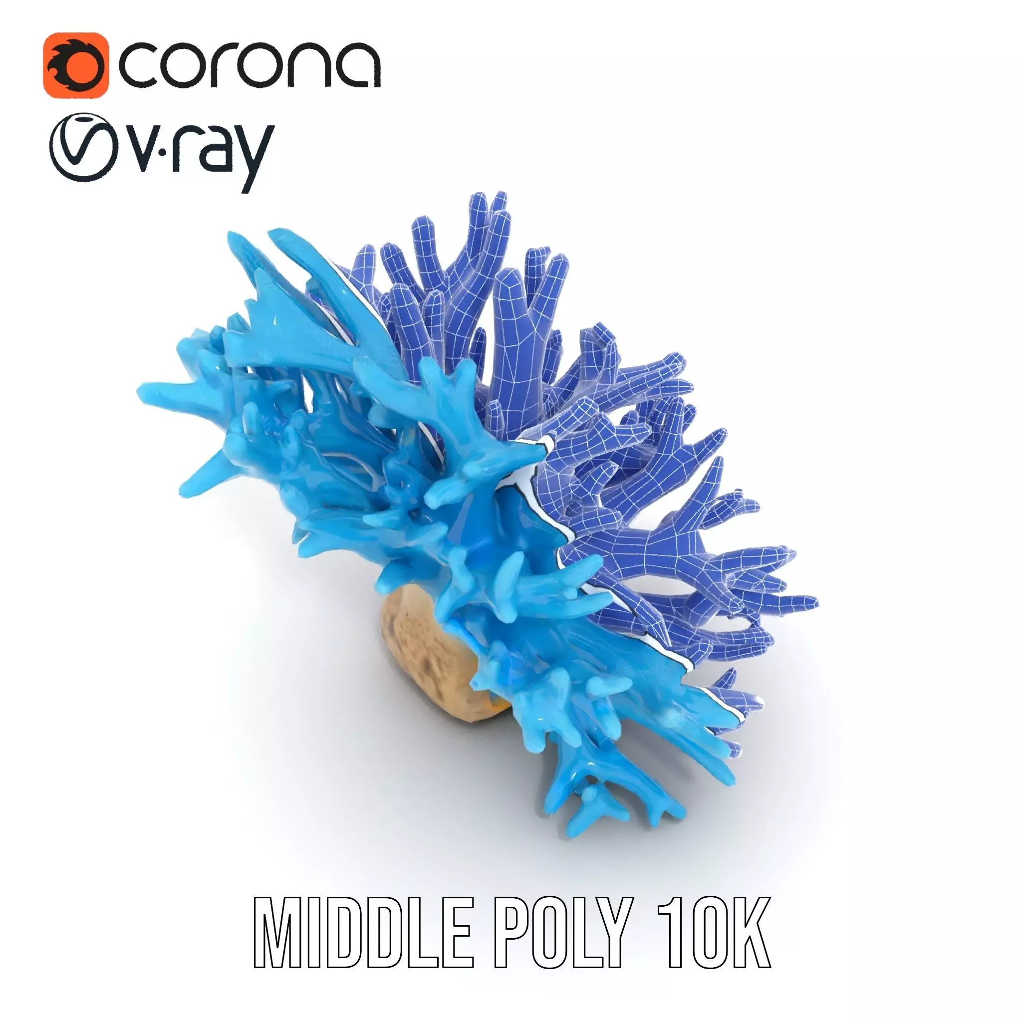 Vibrant Coral Reef model pack Low-poly 3D model_11