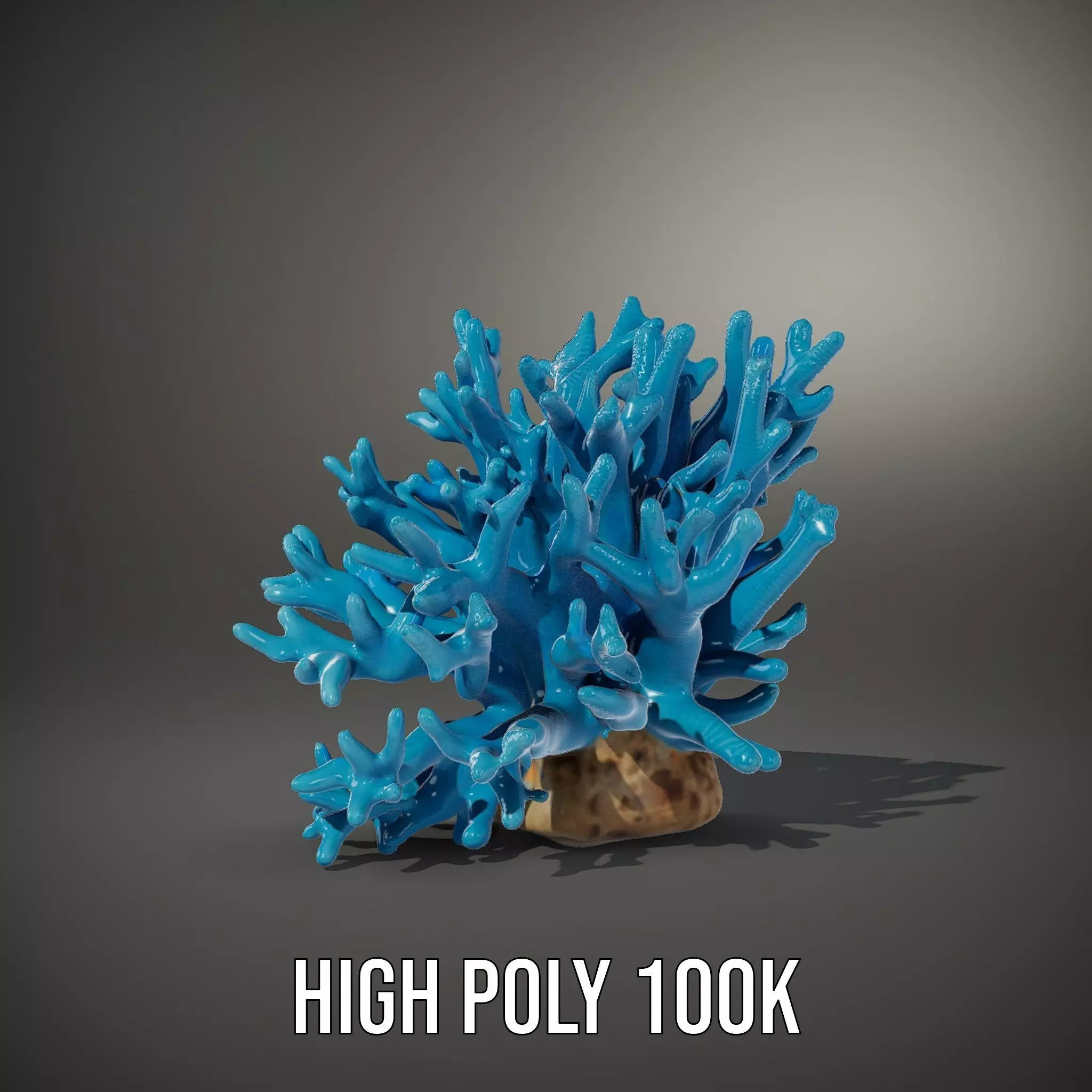 Vibrant Coral Reef model pack Low-poly 3D model_8