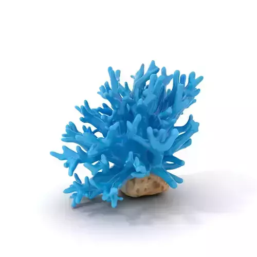 Vibrant Coral Reef model pack Low-poly 3D model