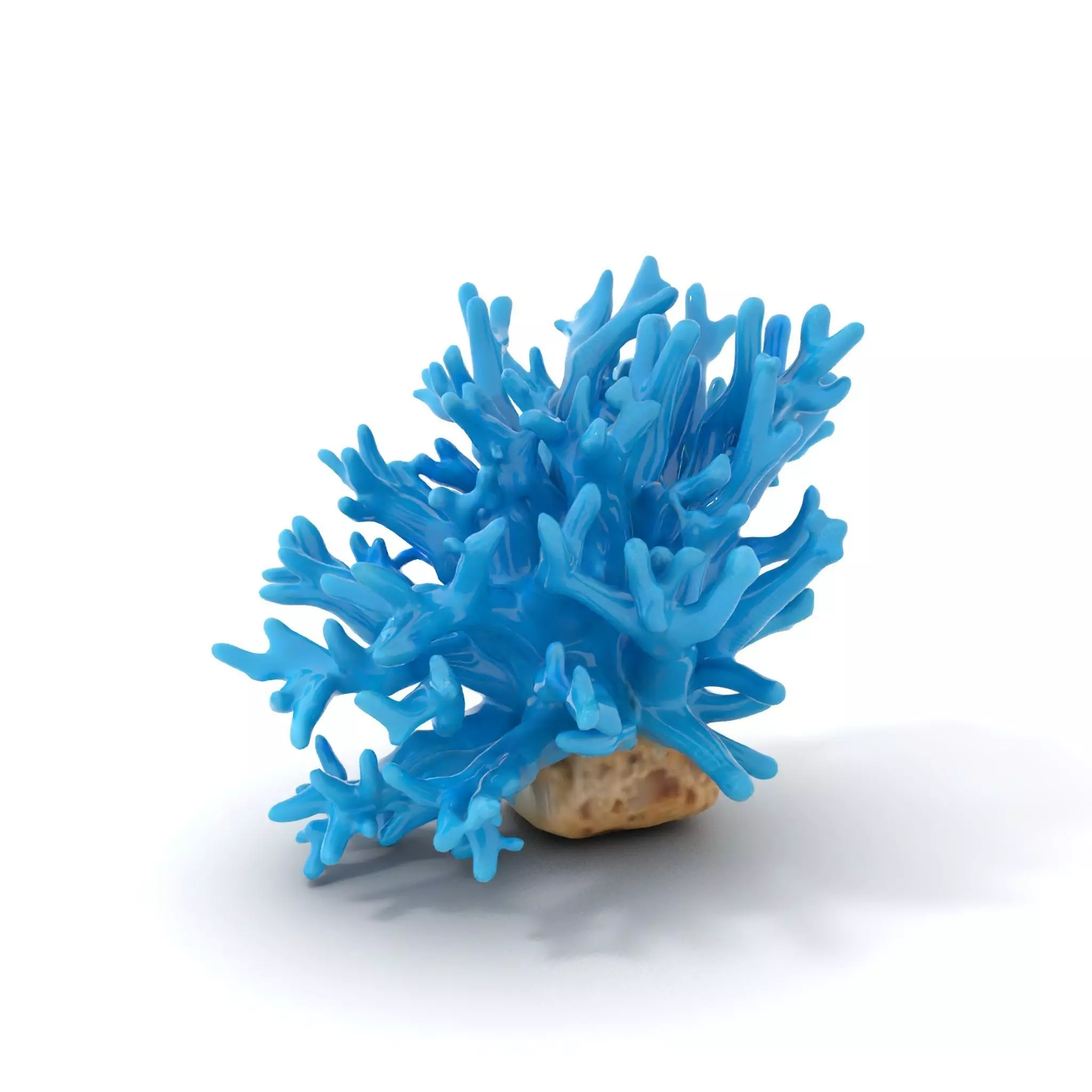 Vibrant Coral Reef model pack Low-poly 3D model_0