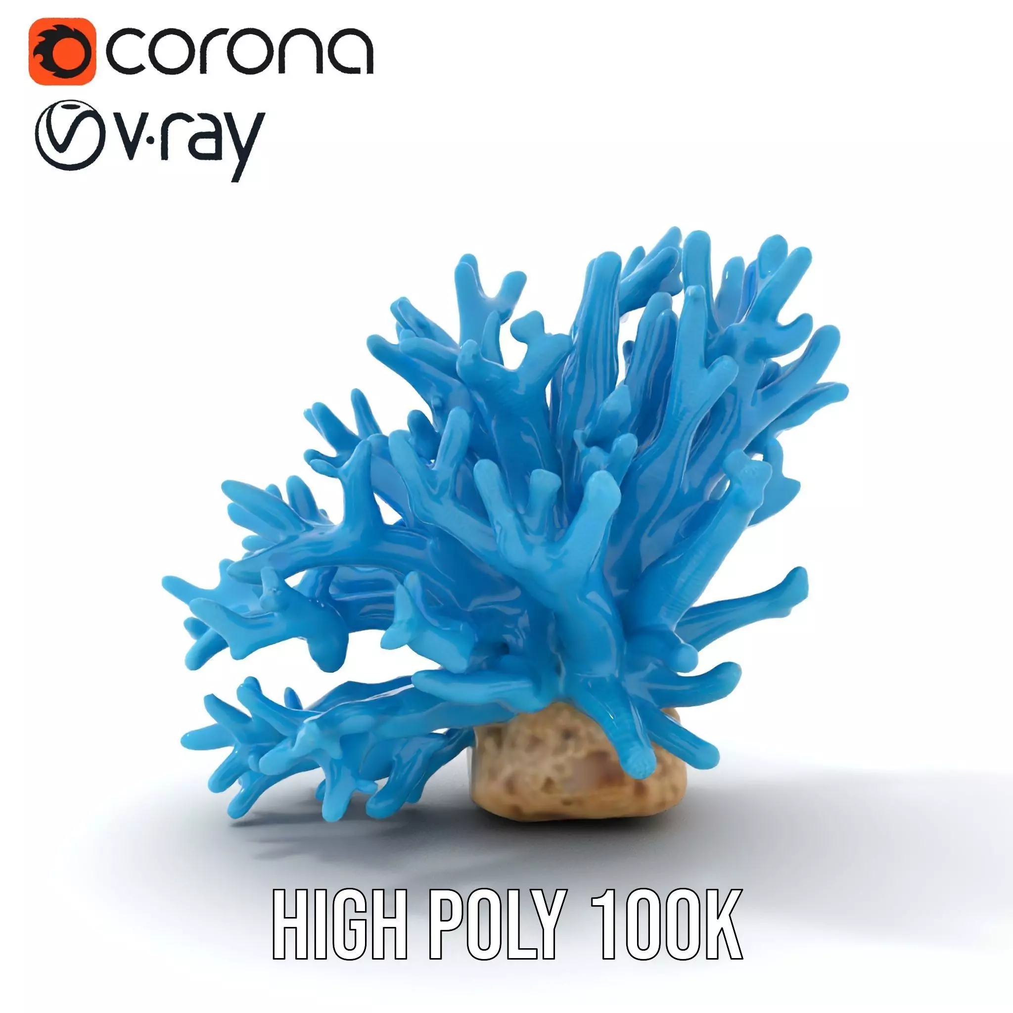 Vibrant Coral Reef model pack Low-poly 3D model_22