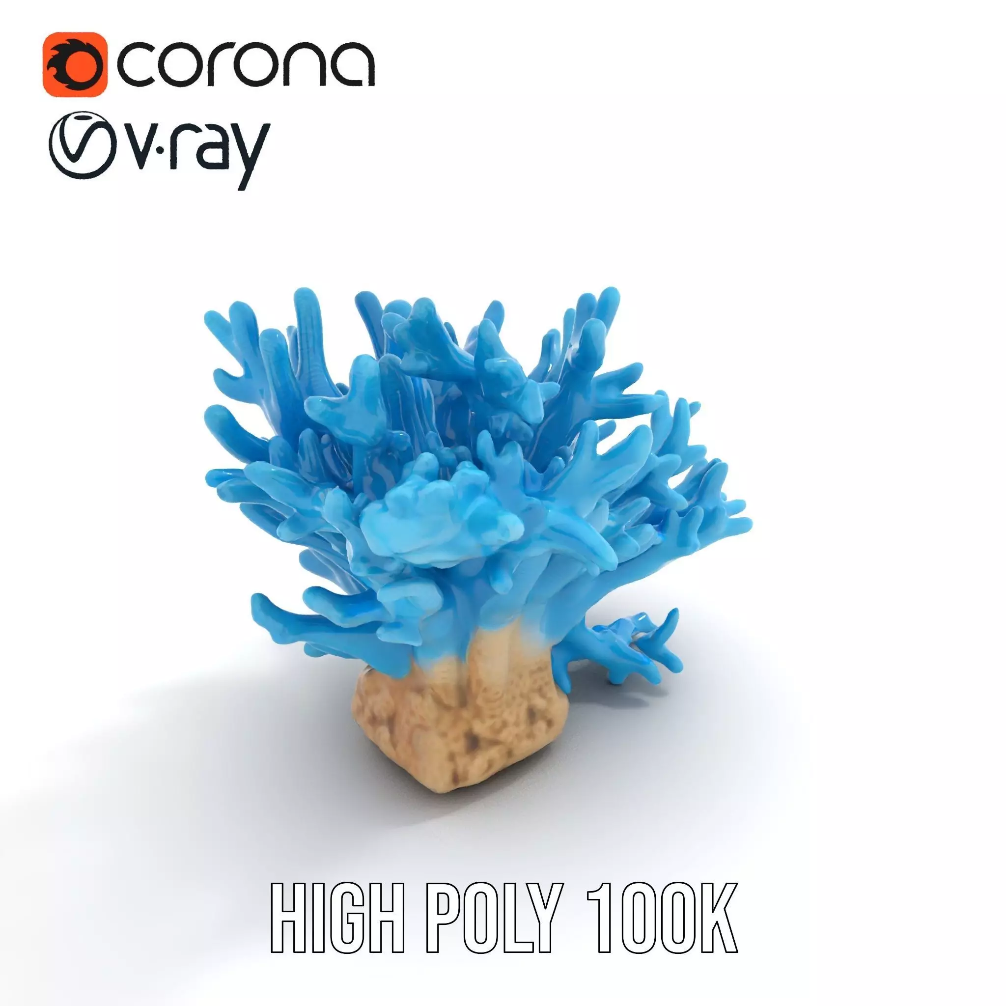 Vibrant Coral Reef model pack Low-poly 3D model_31