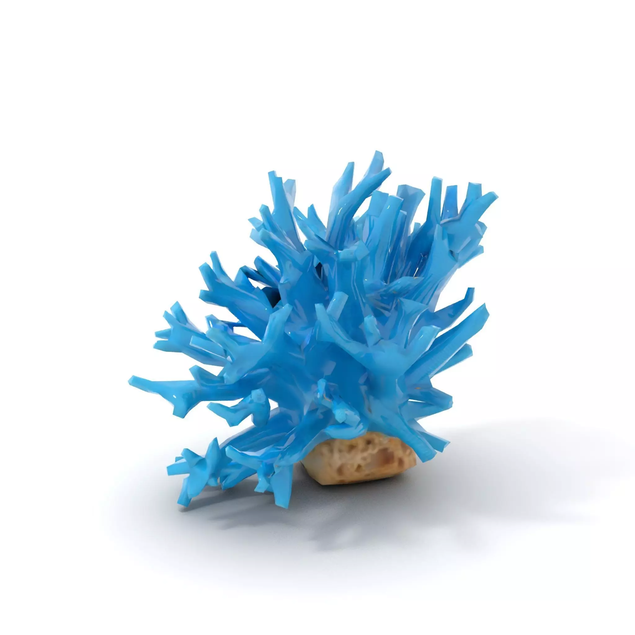 Vibrant Coral Reef model pack Low-poly 3D model_12