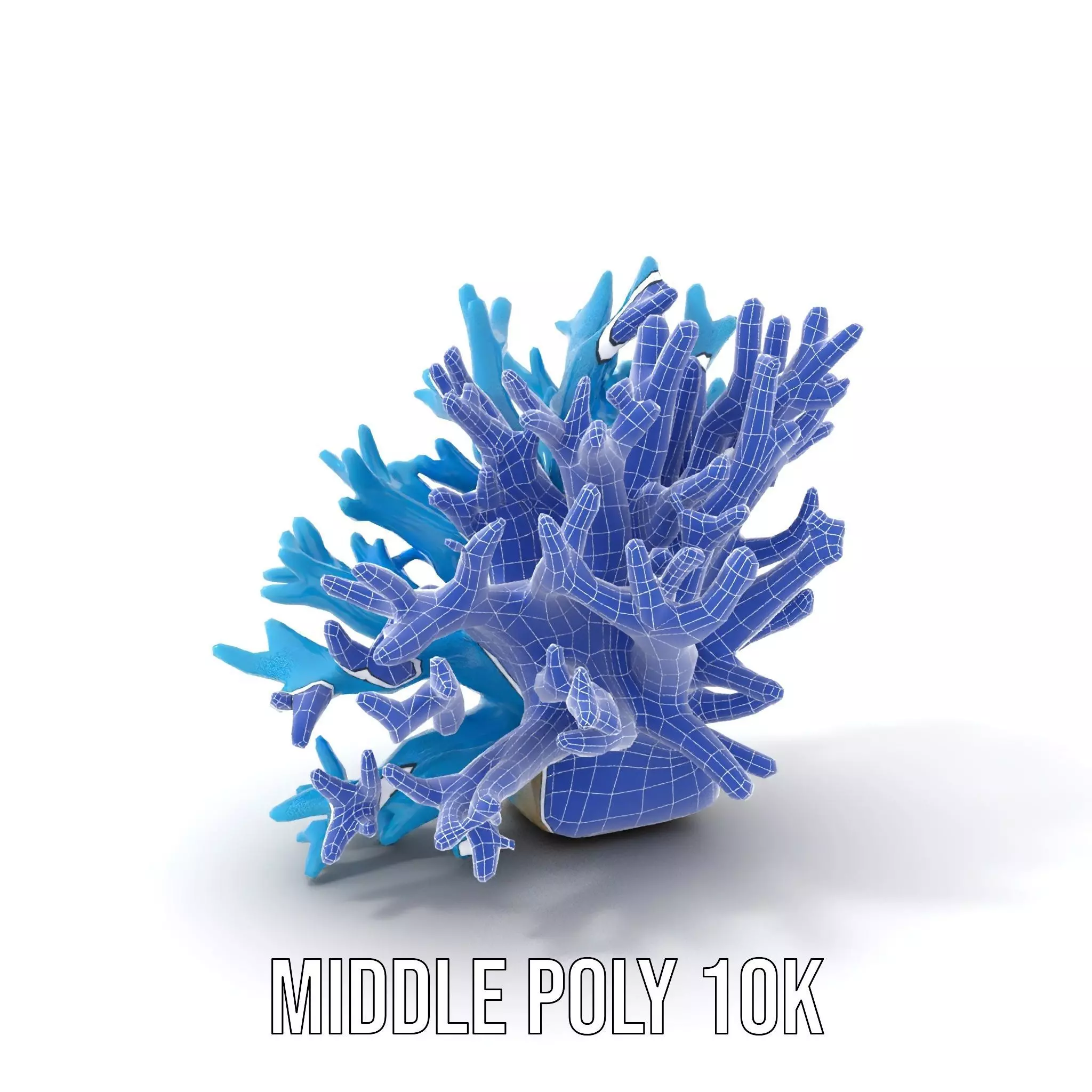 Vibrant Coral Reef model pack Low-poly 3D model_23