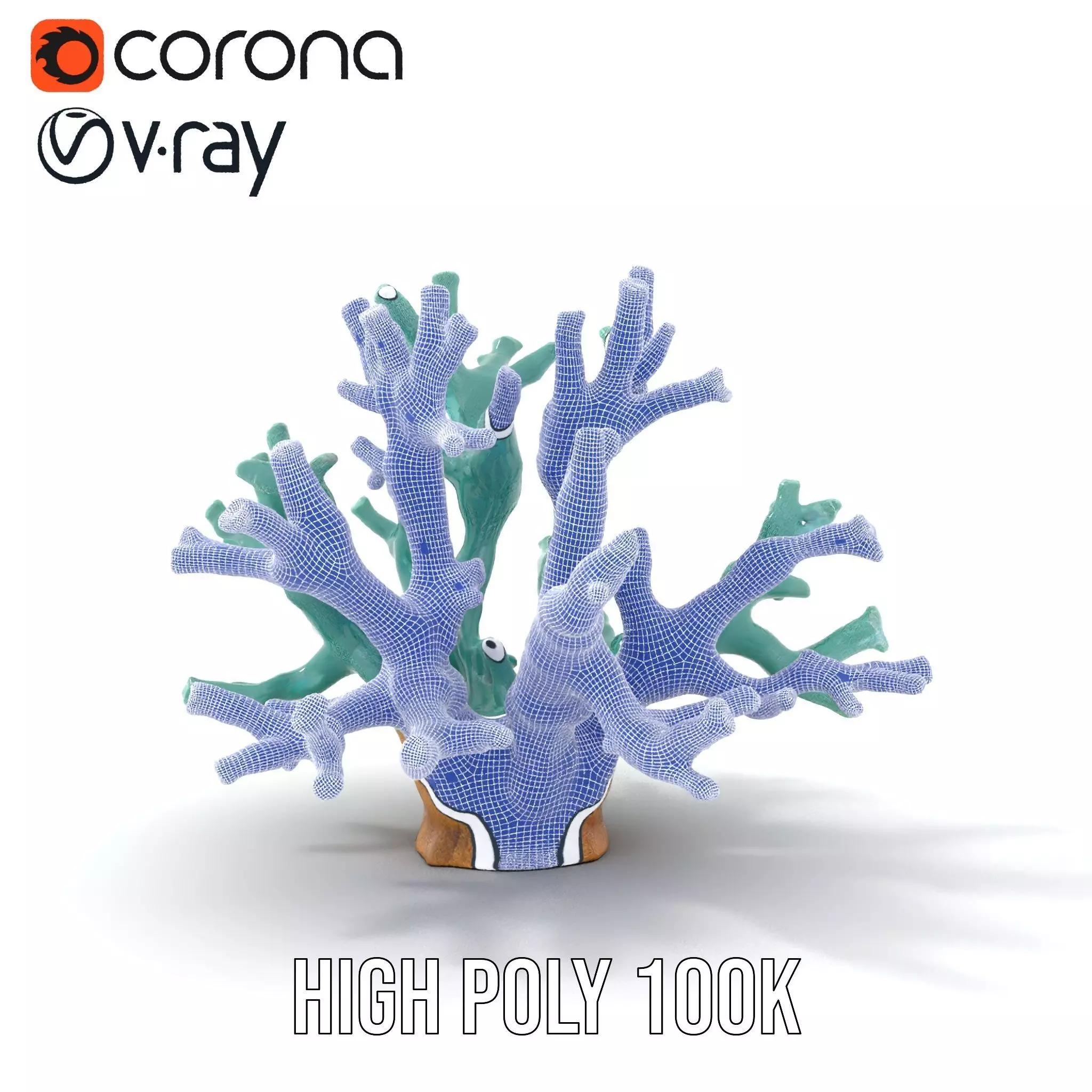 Turquoise Coral model pack Low-poly 3D model_34