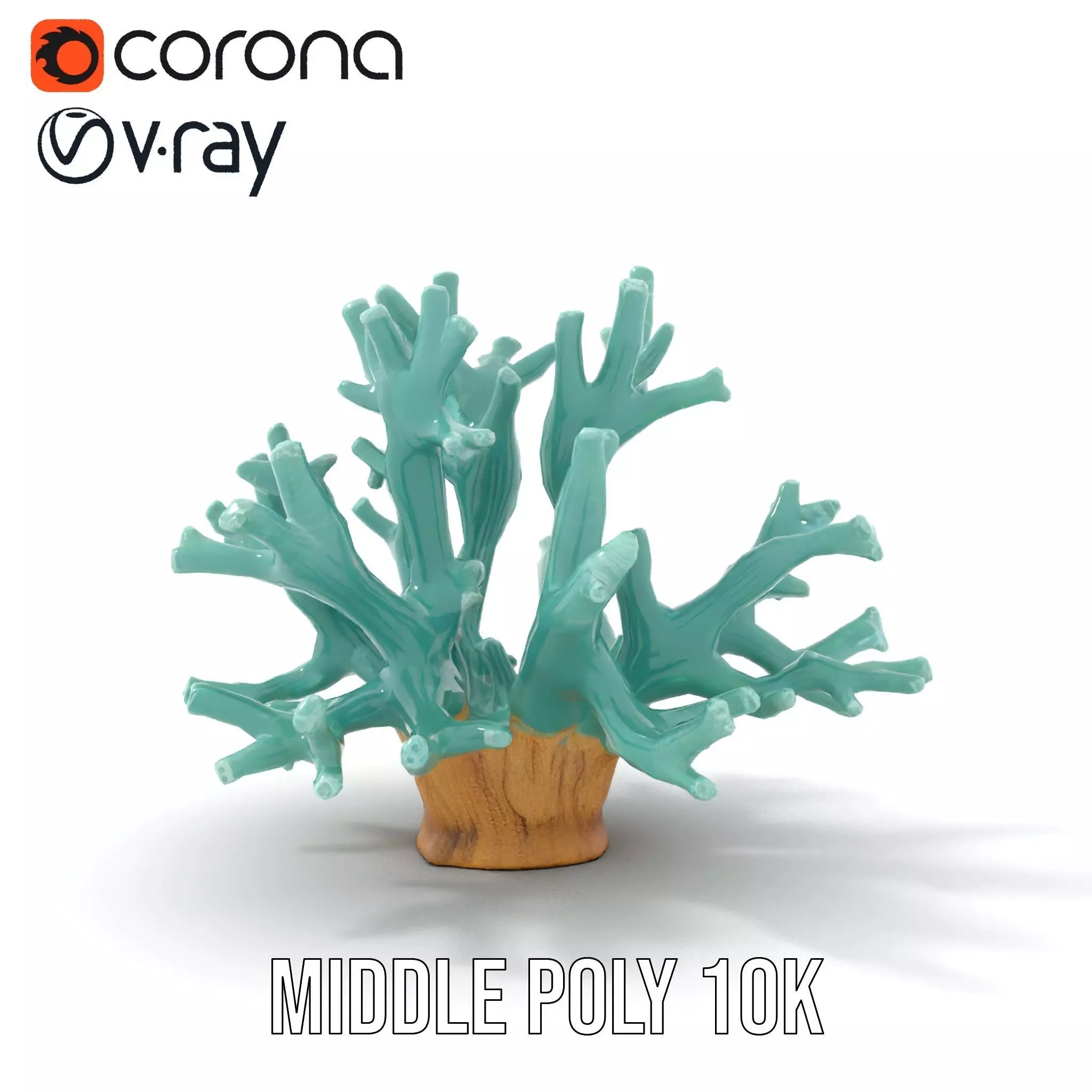 Turquoise Coral model pack Low-poly 3D model_5
