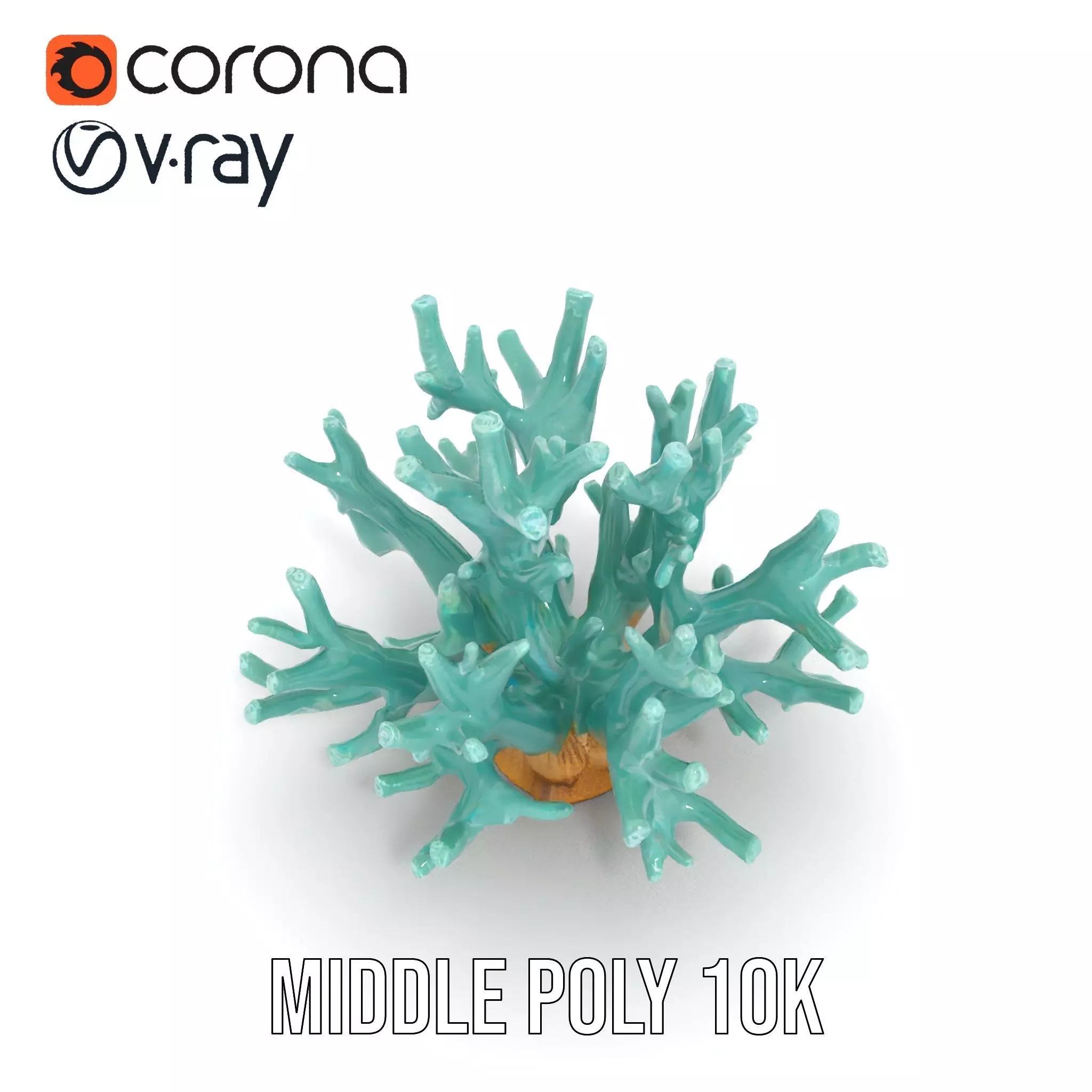 Turquoise Coral model pack Low-poly 3D model_21