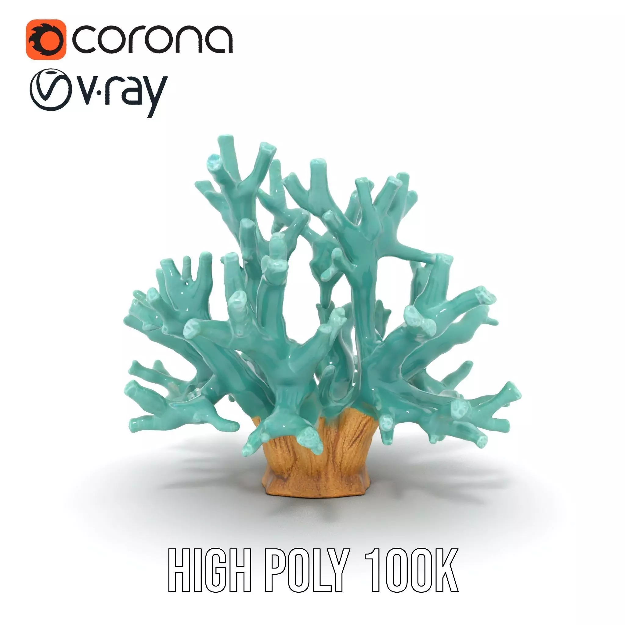 Turquoise Coral model pack Low-poly 3D model_20
