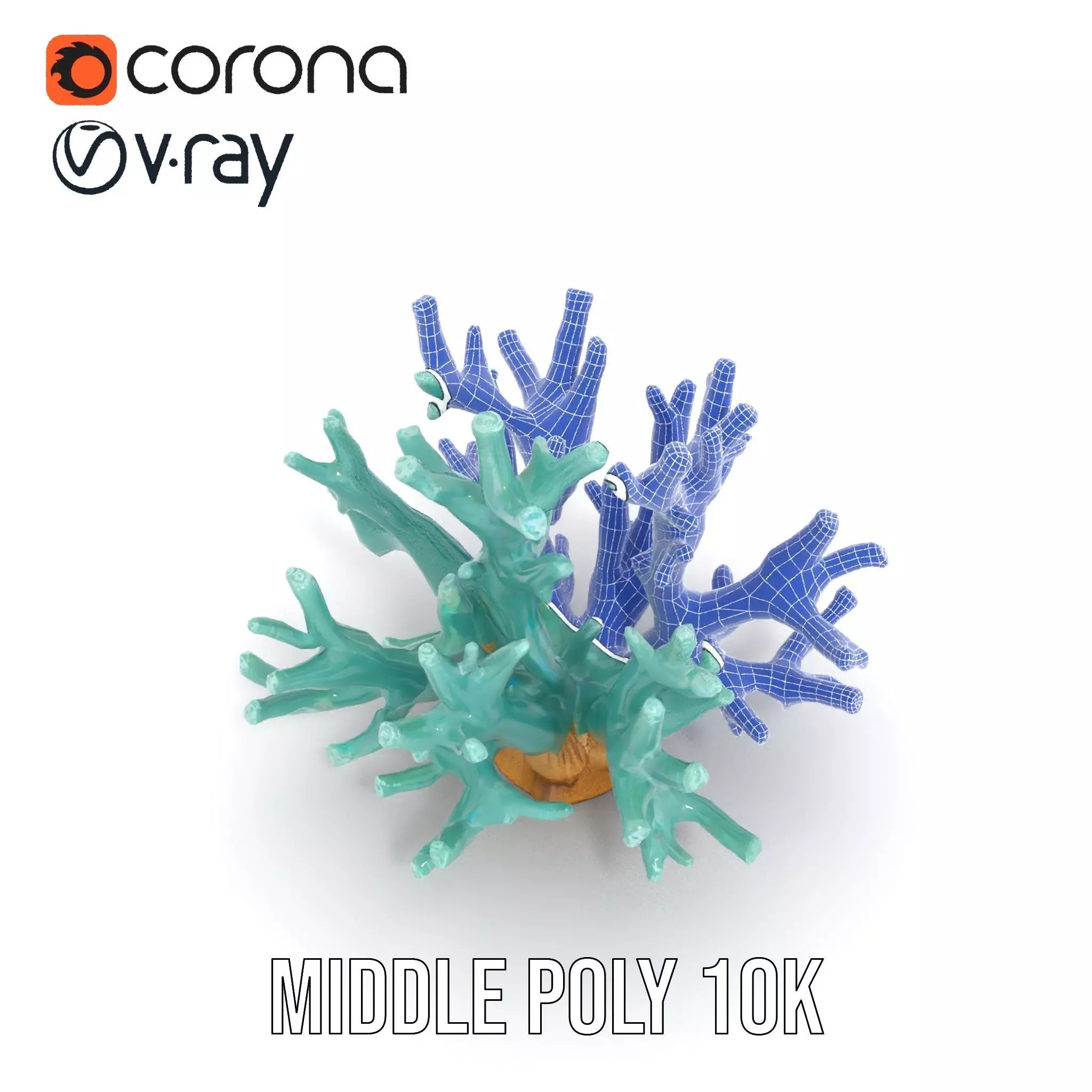 Turquoise Coral model pack Low-poly 3D model_26