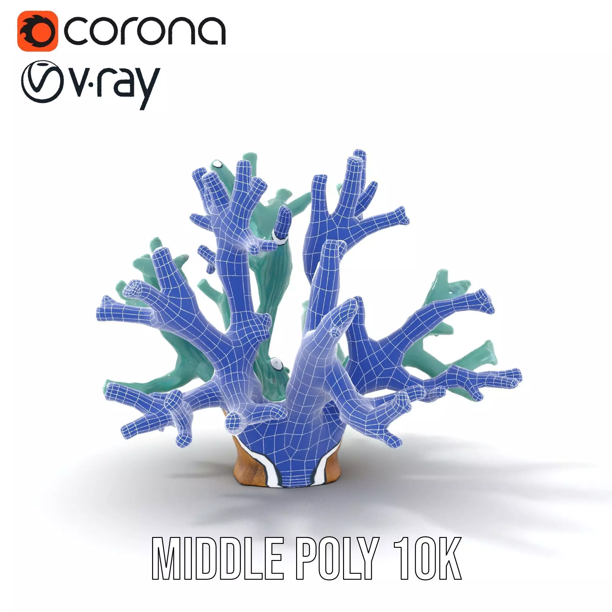 Turquoise Coral model pack Low-poly 3D model_24