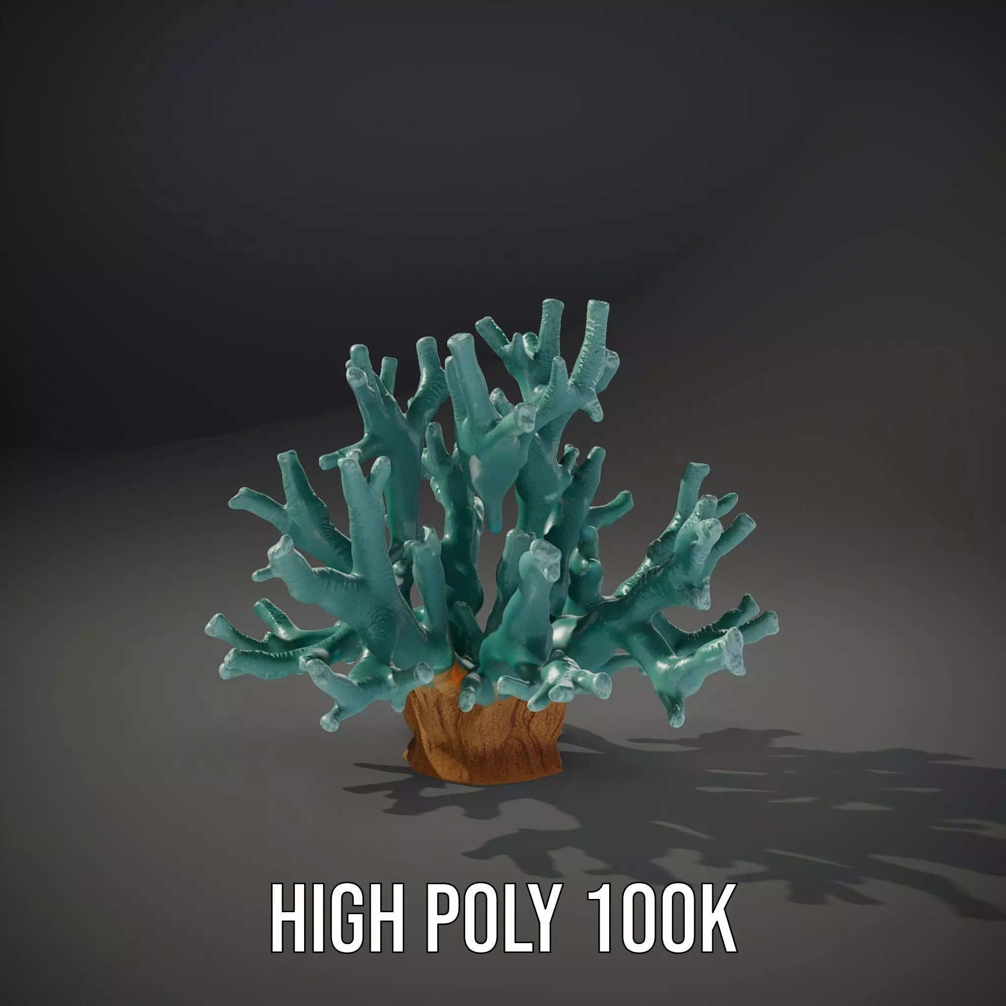 Turquoise Coral model pack Low-poly 3D model_8