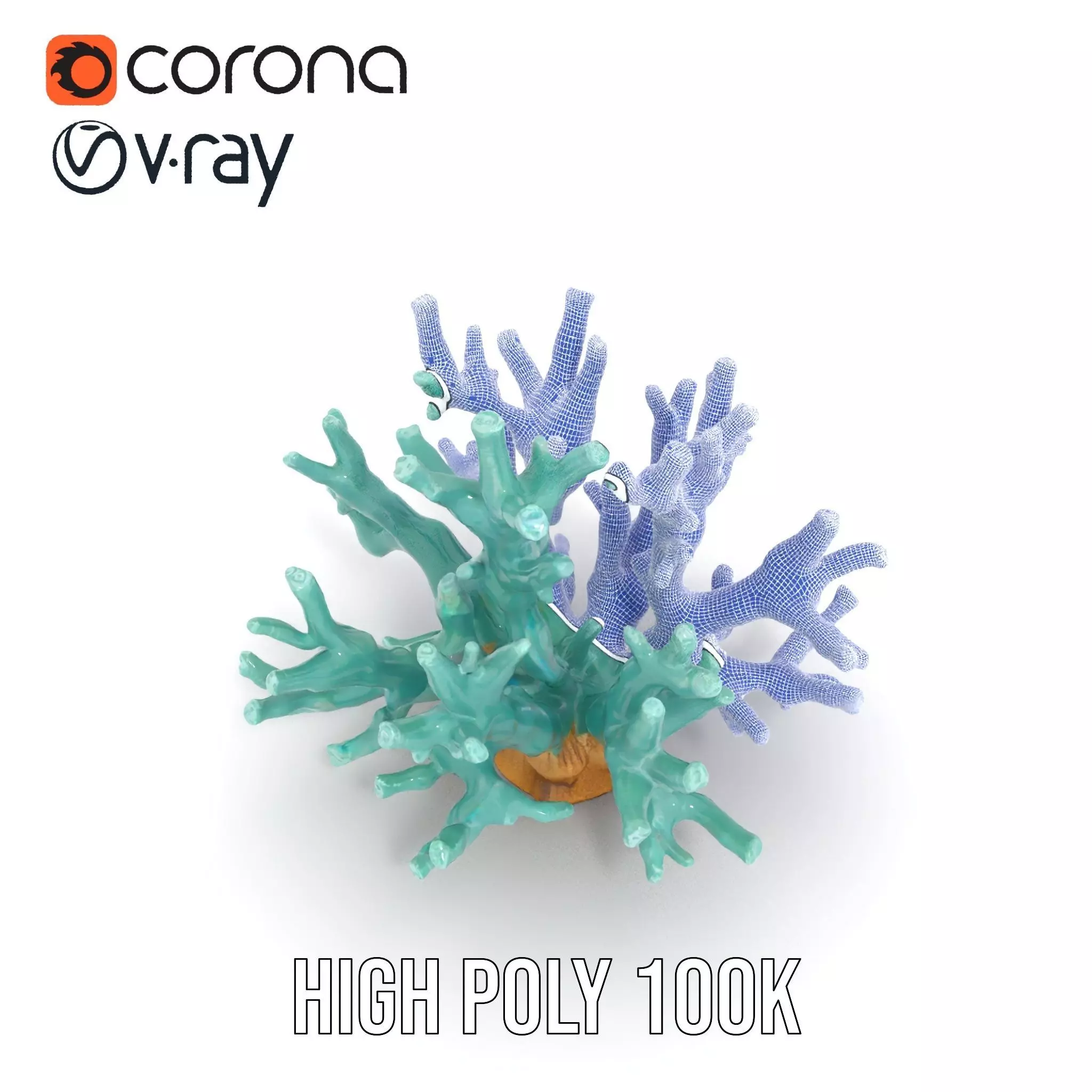 Turquoise Coral model pack Low-poly 3D model_31