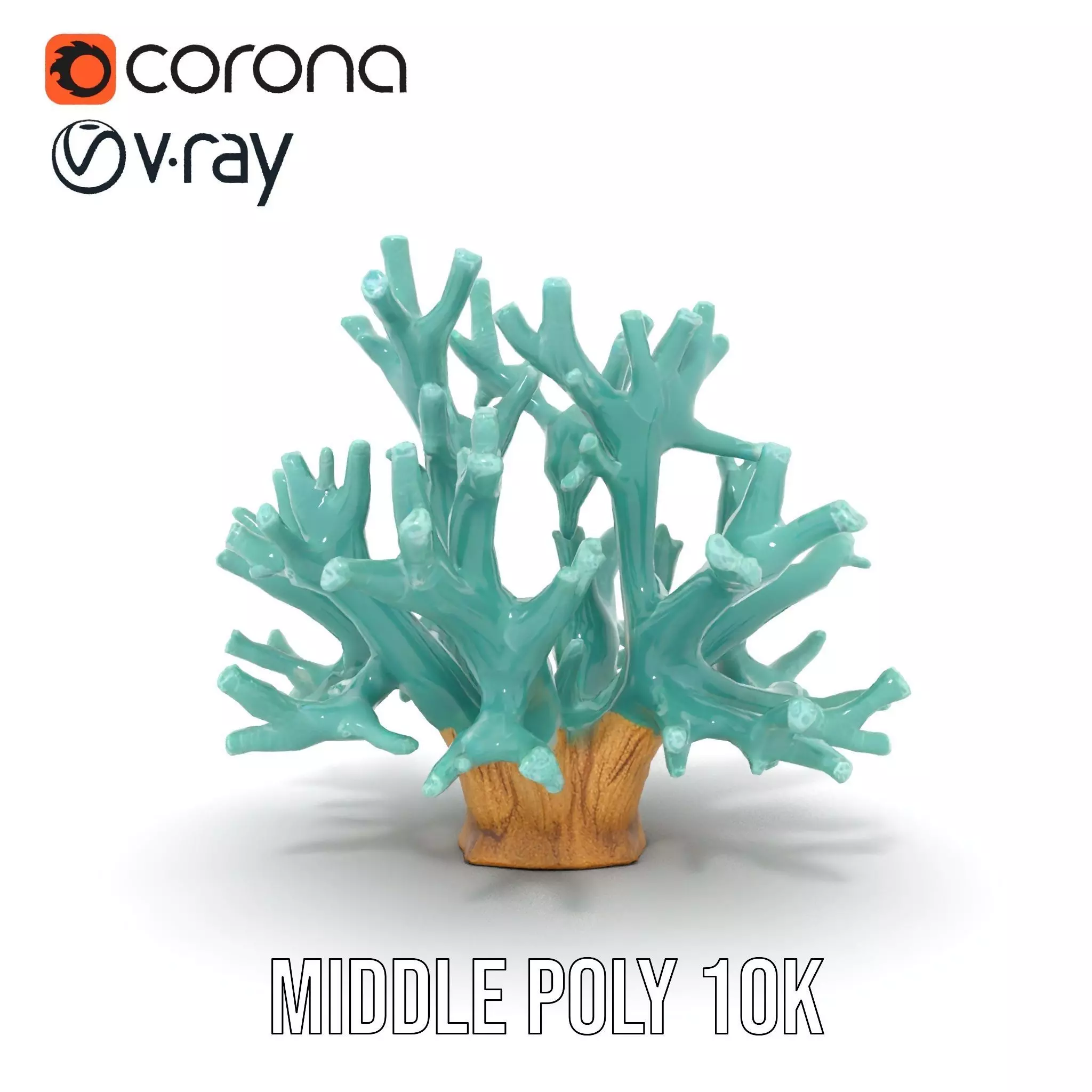 Turquoise Coral model pack Low-poly 3D model_13