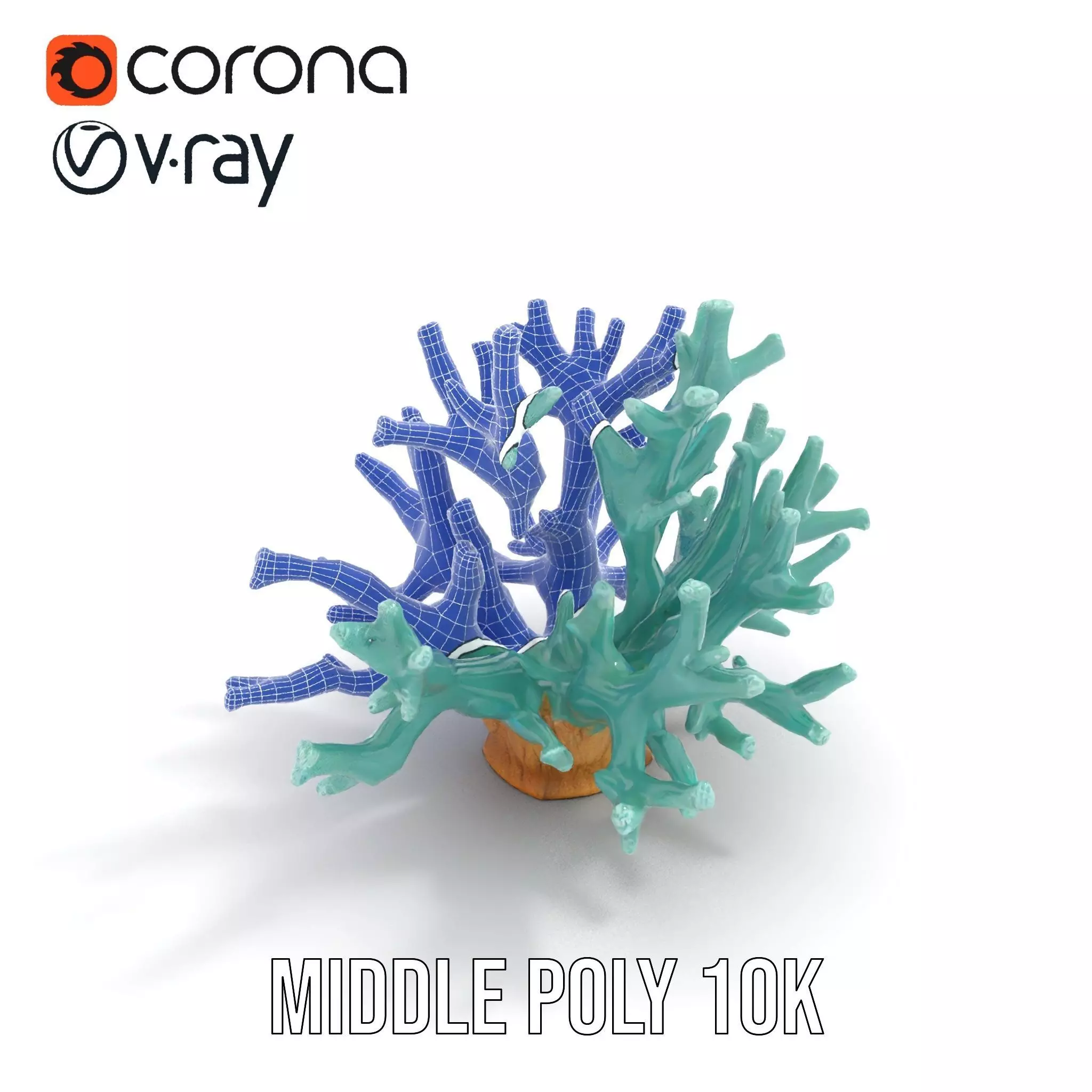 Turquoise Coral model pack Low-poly 3D model_11