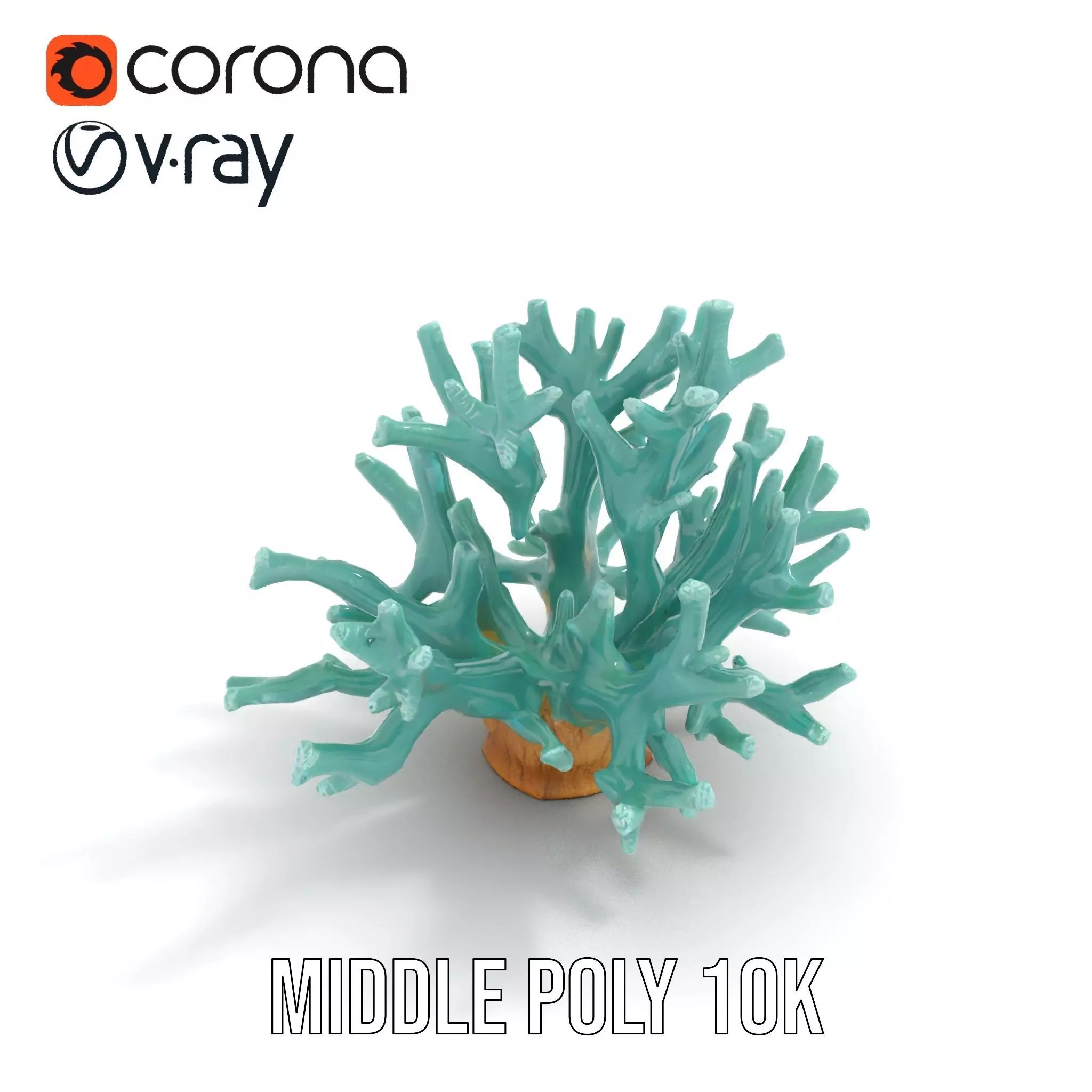 Turquoise Coral model pack Low-poly 3D model_6