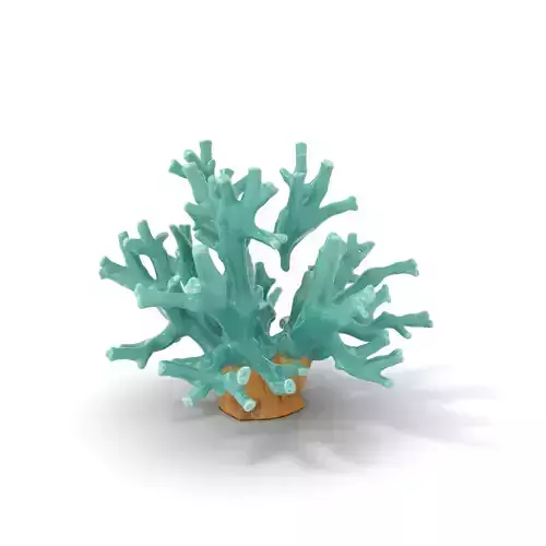 Turquoise Coral model pack Low-poly 3D model