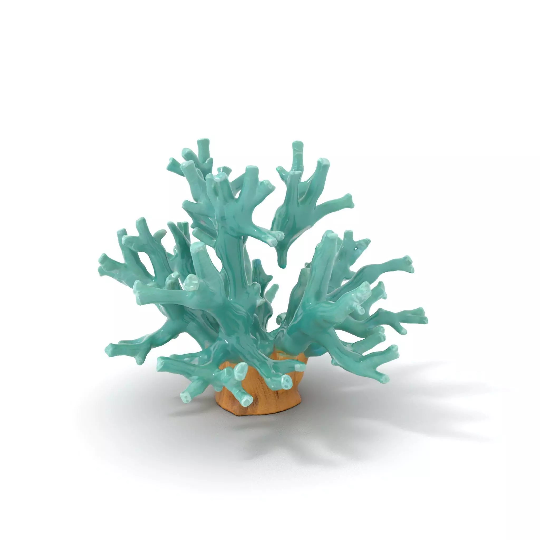 Turquoise Coral model pack Low-poly 3D model_0