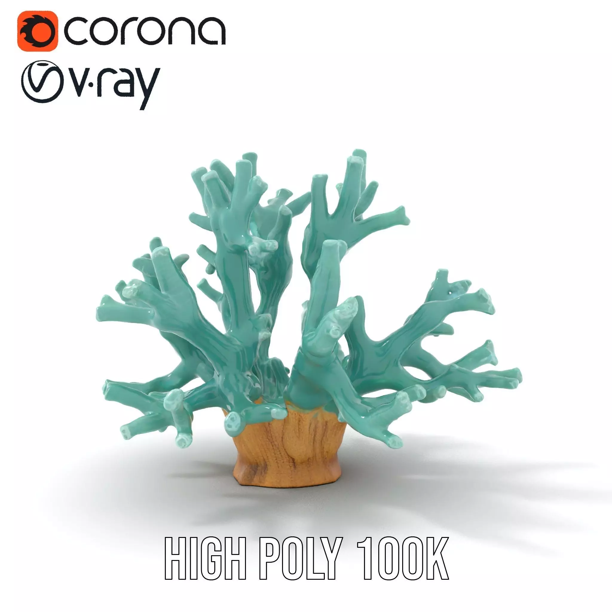 Turquoise Coral model pack Low-poly 3D model_32