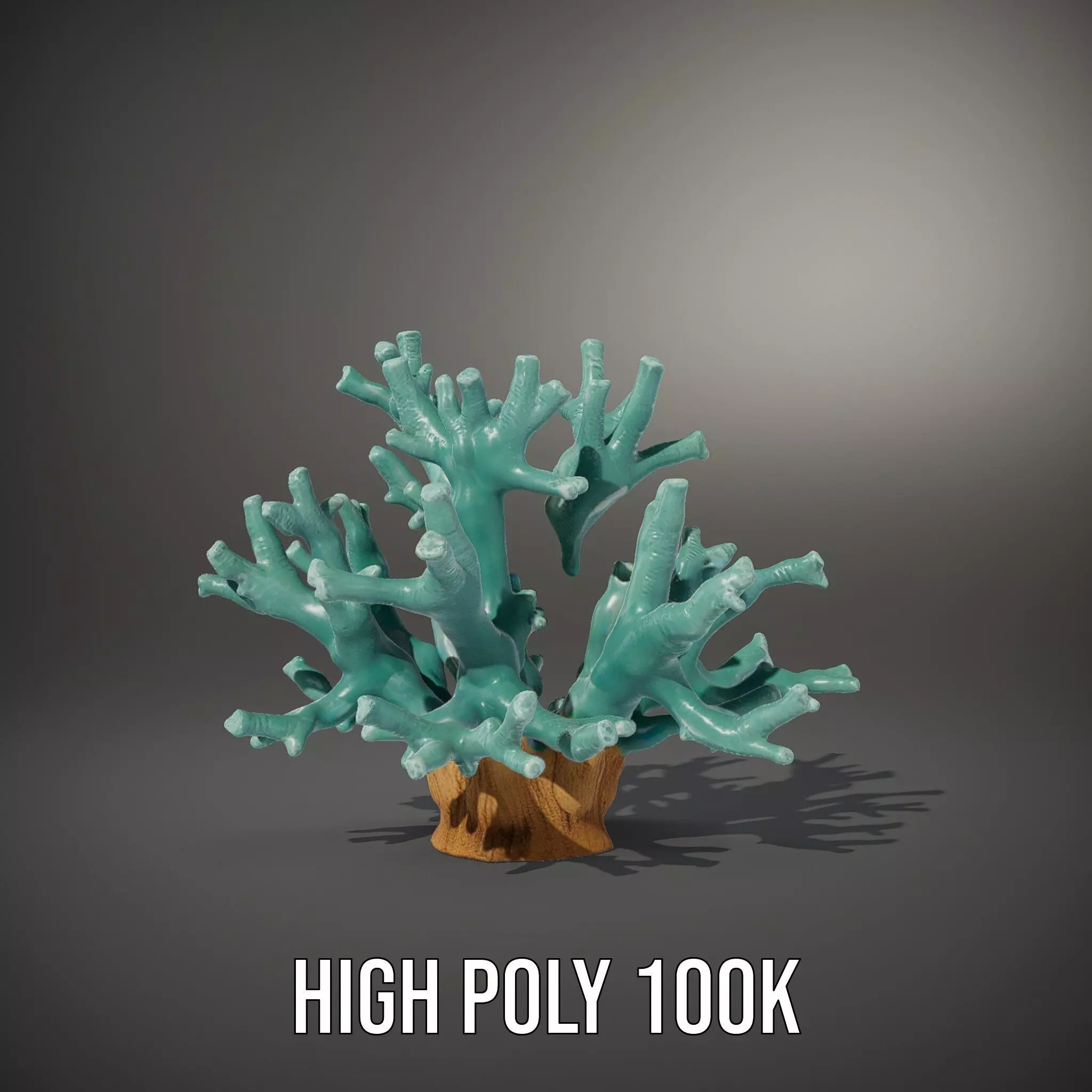 Turquoise Coral model pack Low-poly 3D model_10