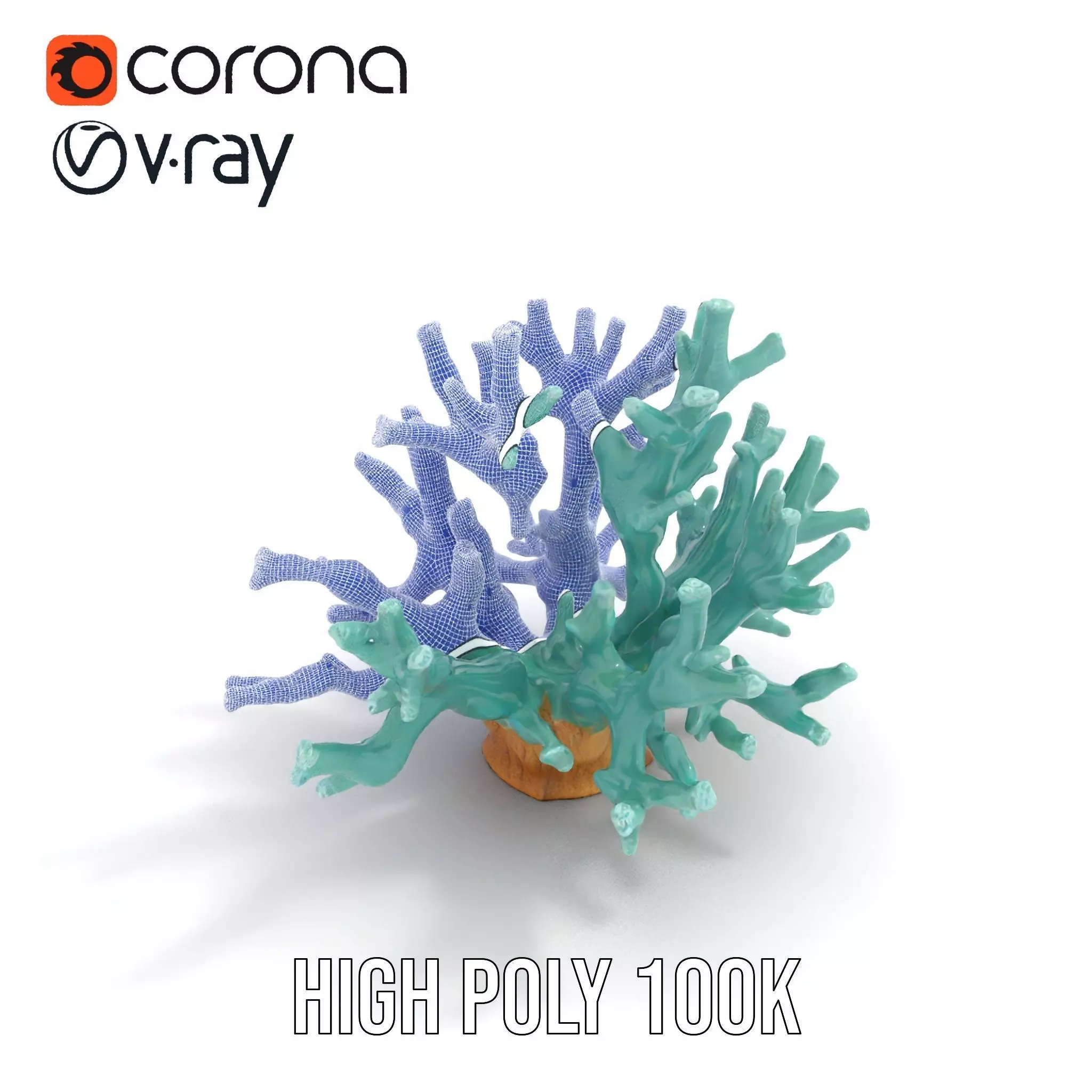 Turquoise Coral model pack Low-poly 3D model_28