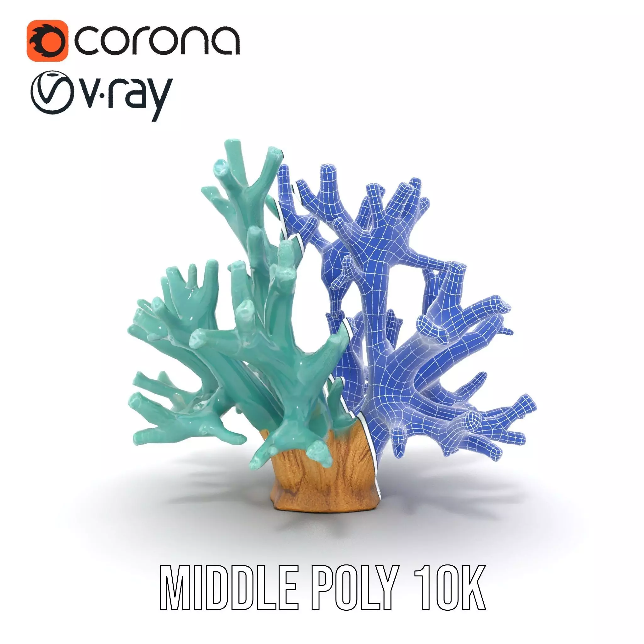 Turquoise Coral model pack Low-poly 3D model_29