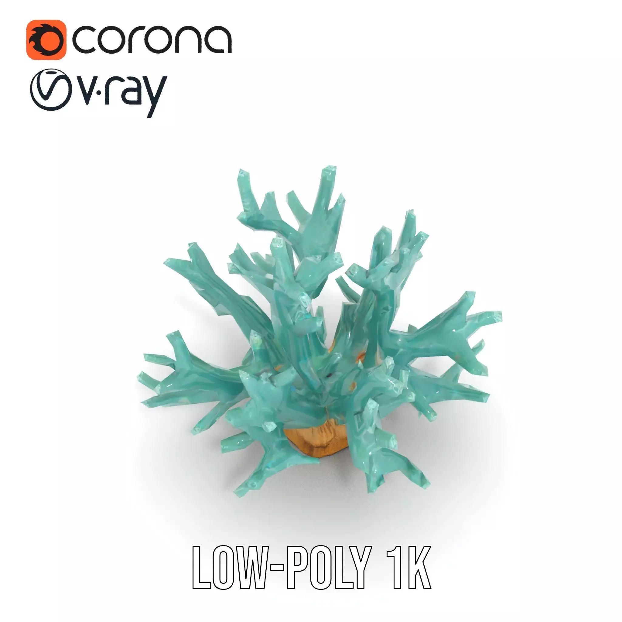 Turquoise Coral model pack Low-poly 3D model_9