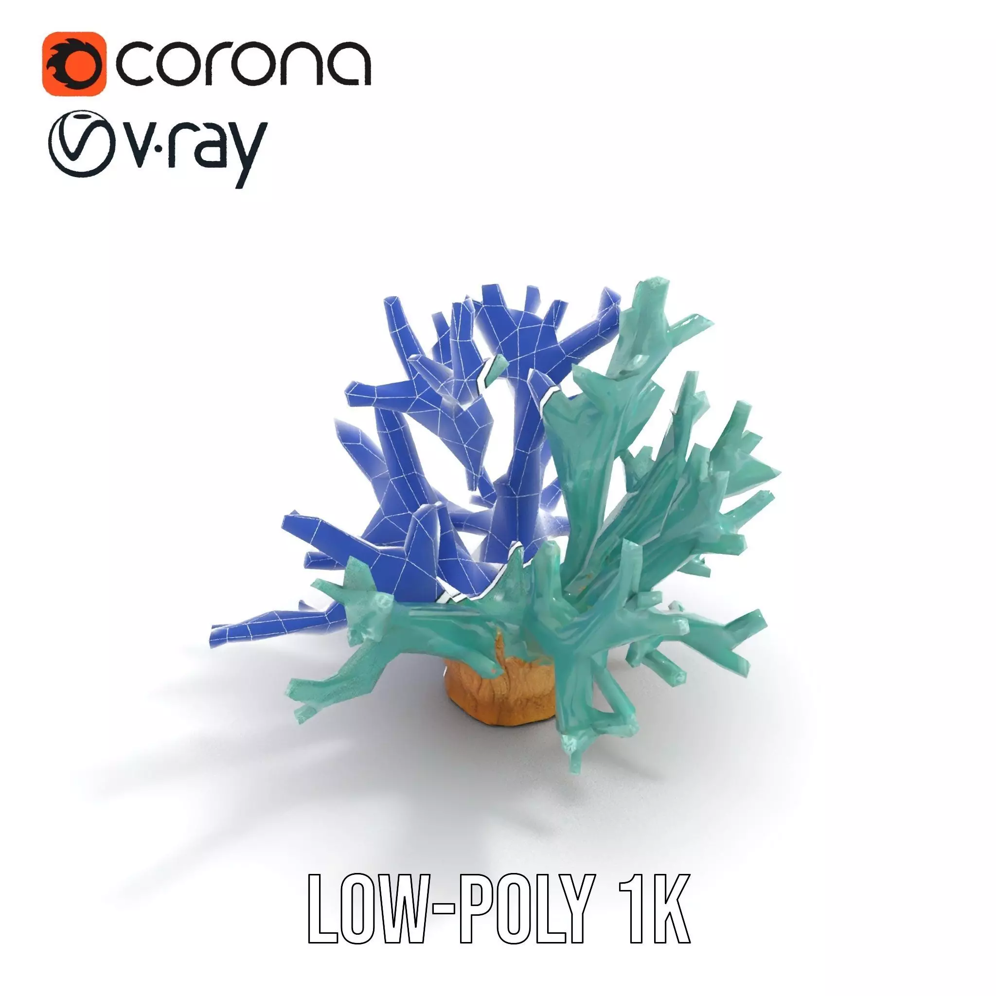 Turquoise Coral model pack Low-poly 3D model_16