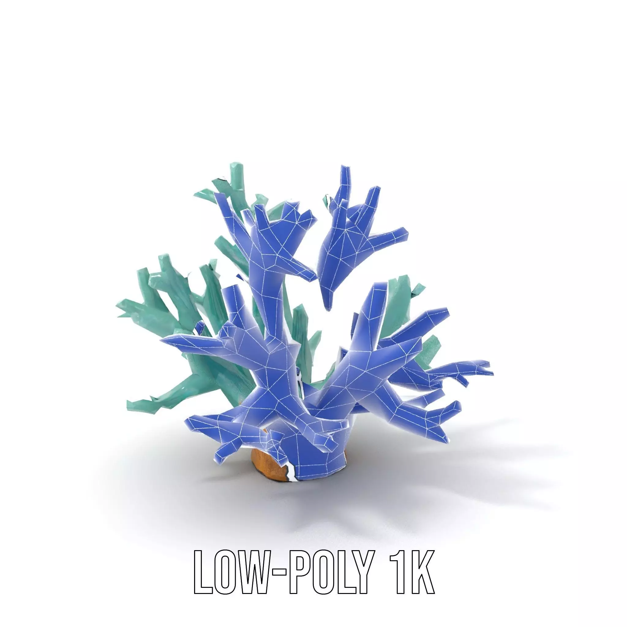 Turquoise Coral model pack Low-poly 3D model_14