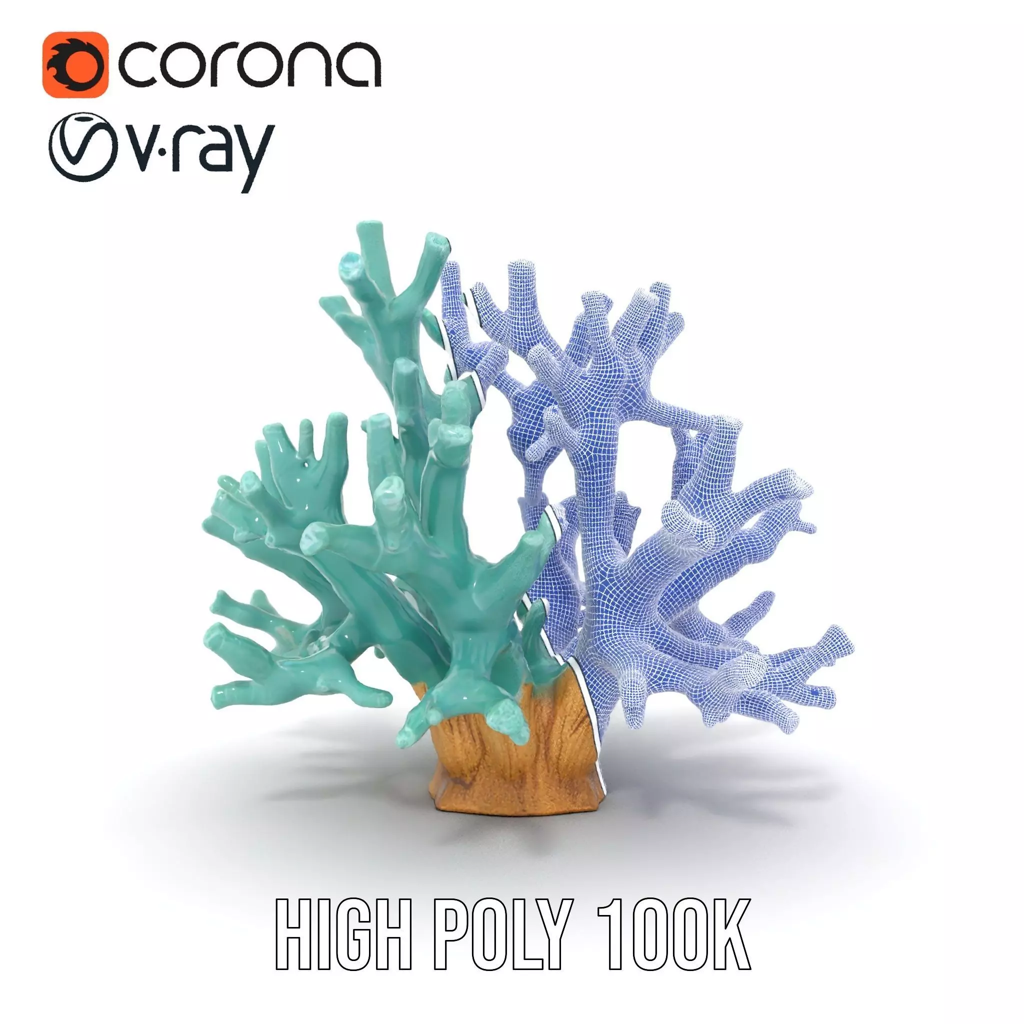 Turquoise Coral model pack Low-poly 3D model_33