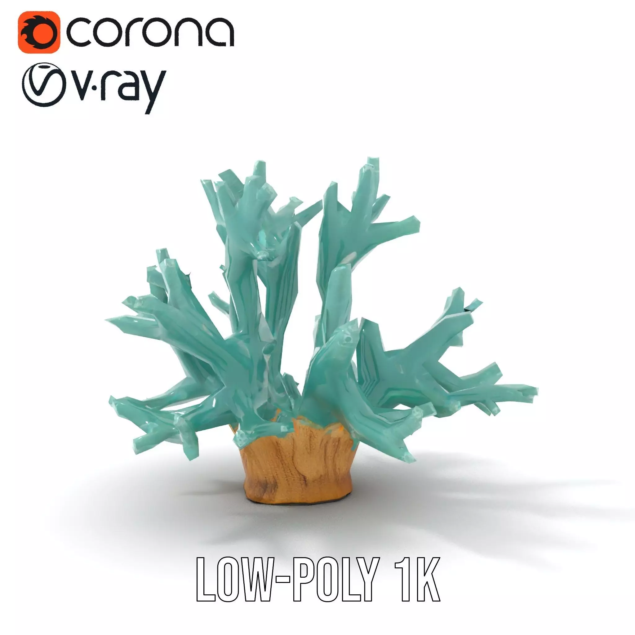 Turquoise Coral model pack Low-poly 3D model_12